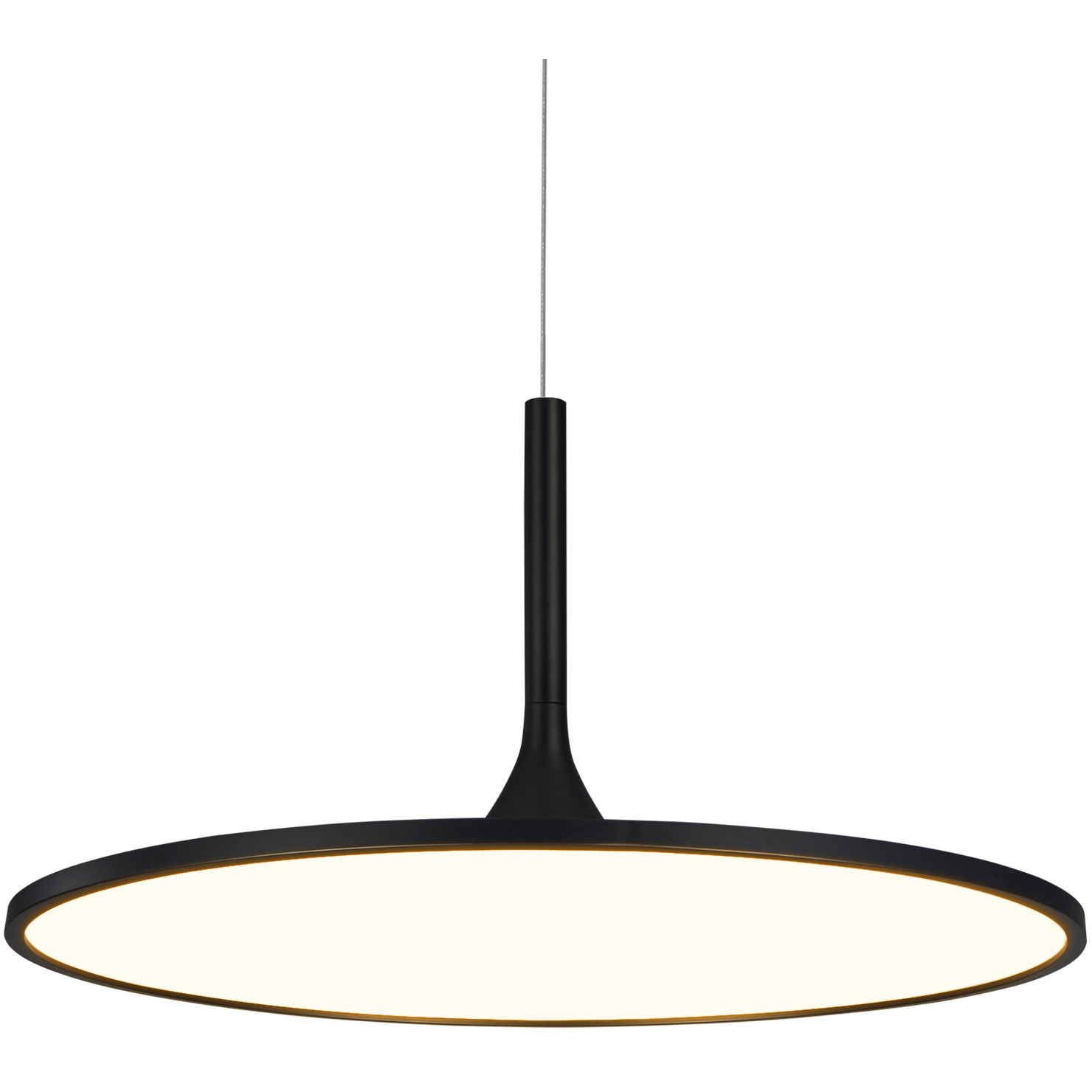 Salm 24 inch Black Pendant/Chandelier Ceiling Light