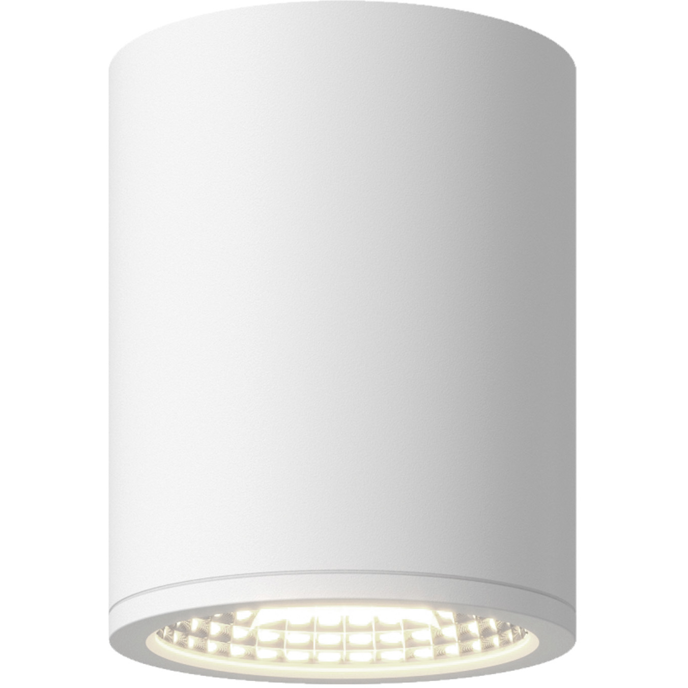 Nordic LED 5 inch White Exterior Ceiling