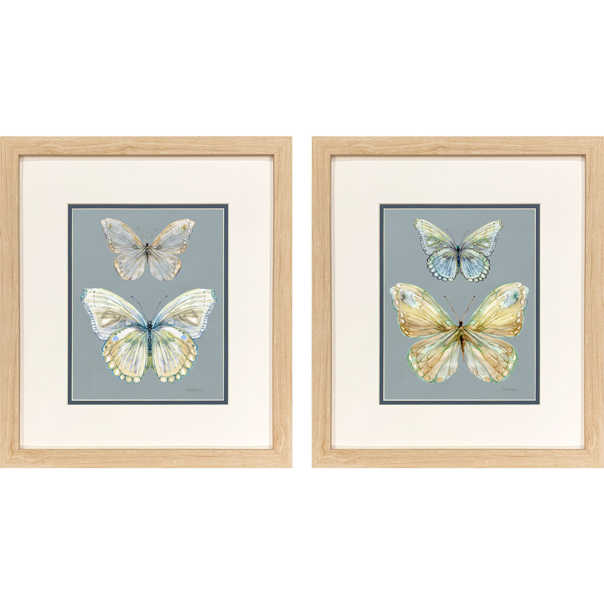 Butterfly Beauties Blue and Green and Brown and Multi Framed Art, Propac