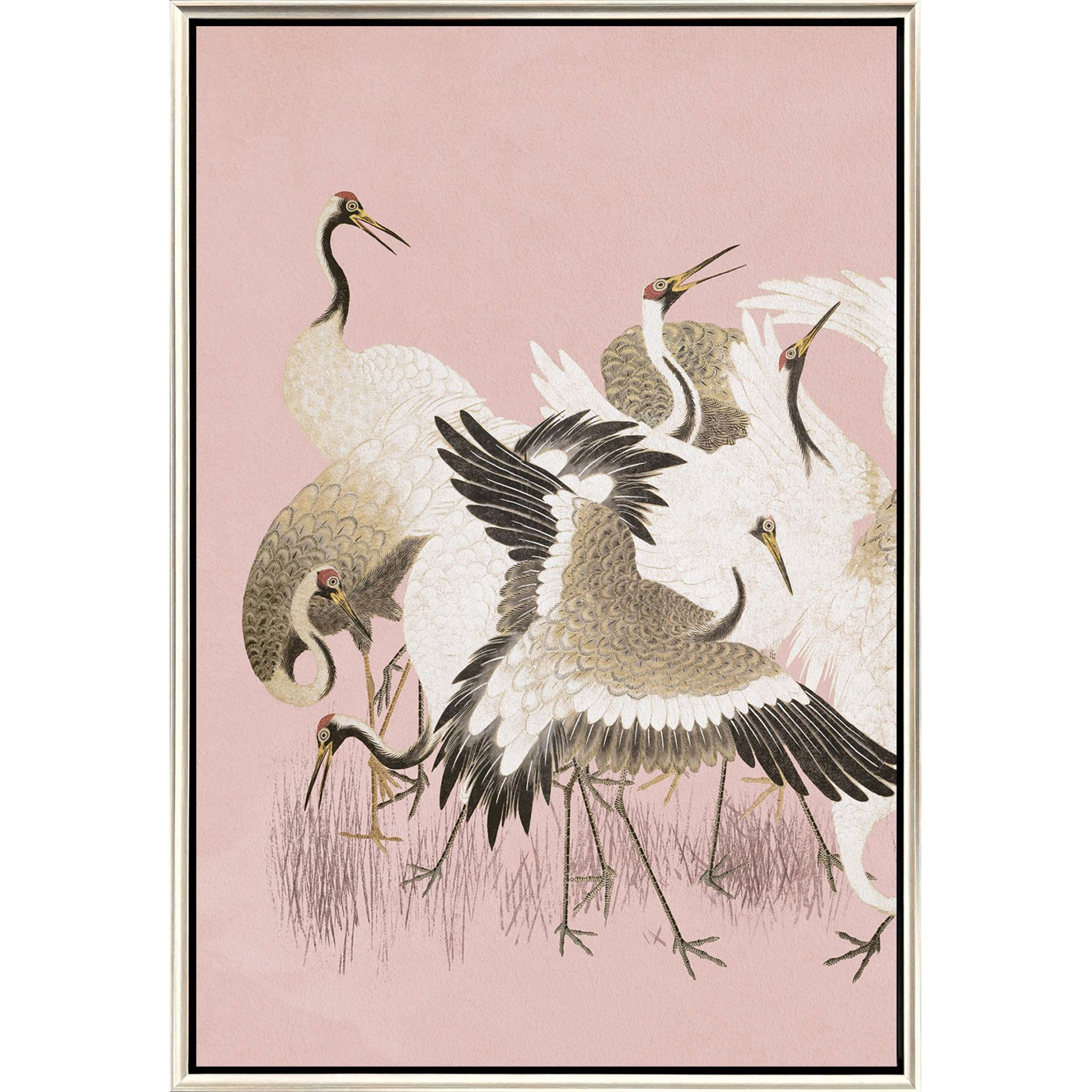 Curious Cranes Pink Canvas
