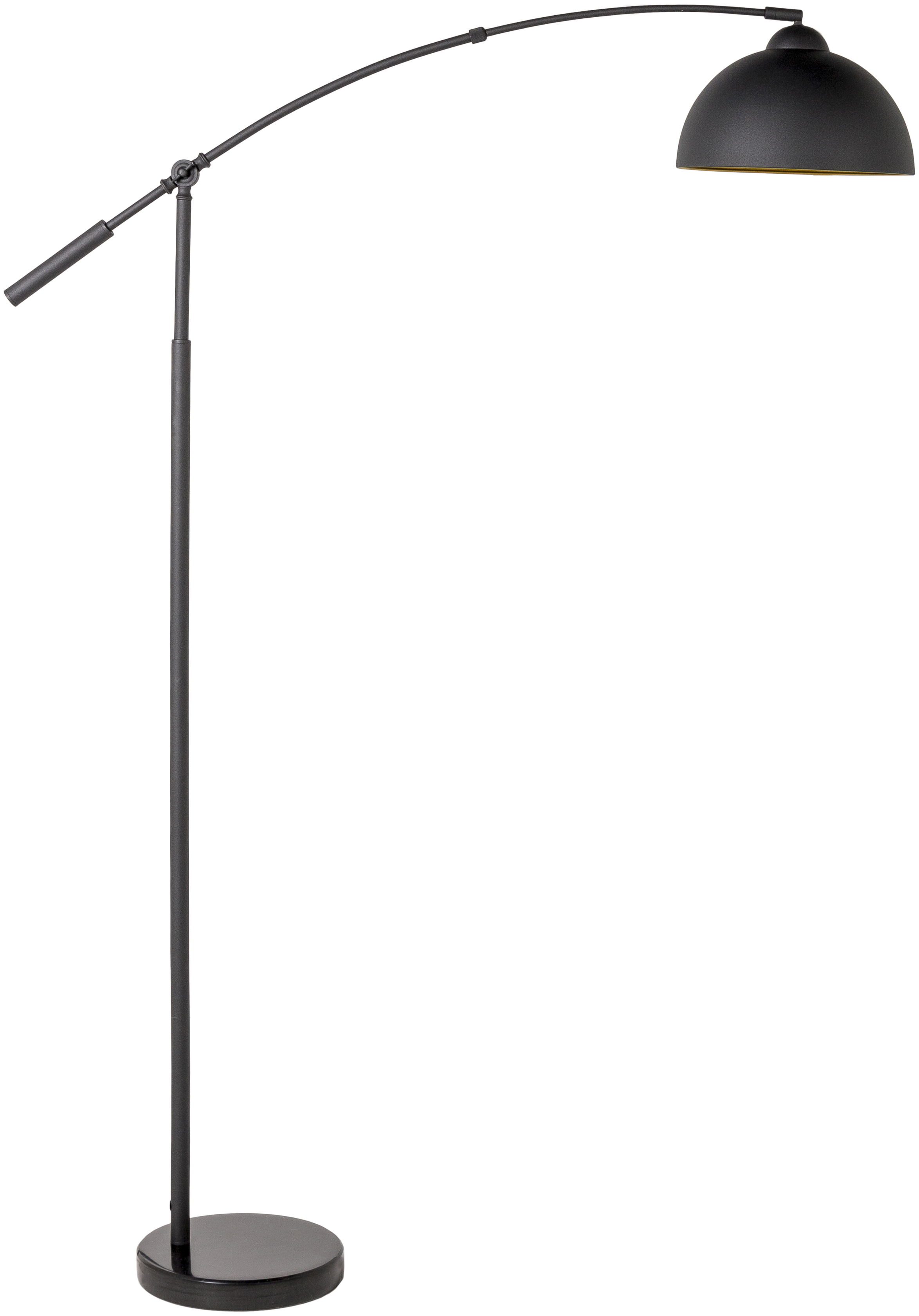 Naples 67.7 inch 60.00 watt Black Floor Lamp Portable Light