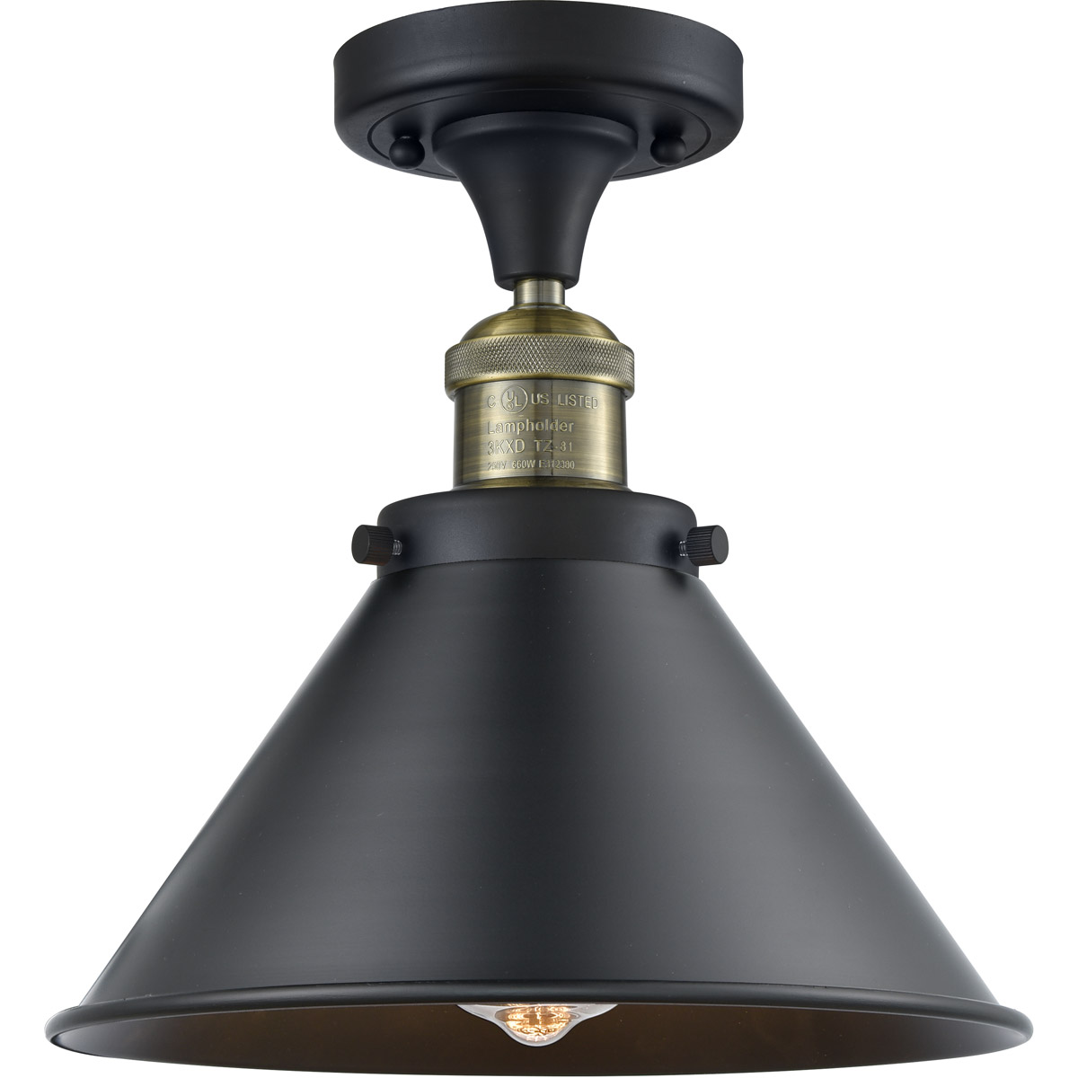 Franklin Restoration Briarcliff LED 10 inch Black Antique Brass Semi-Flush Mount Ceiling Light, Franklin Restoration
