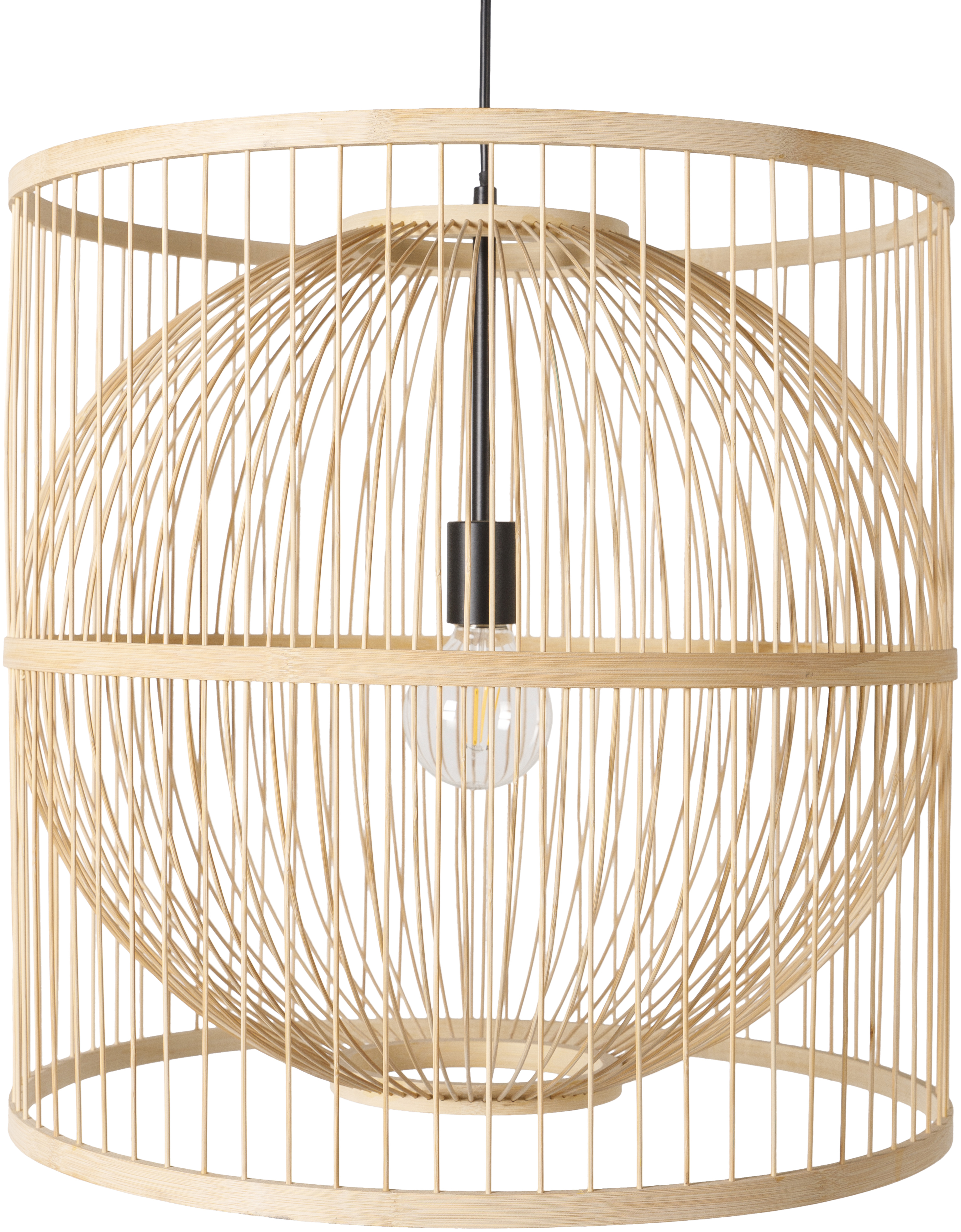 Ornado 1 Light 19.7 inch Pendant Ceiling Light