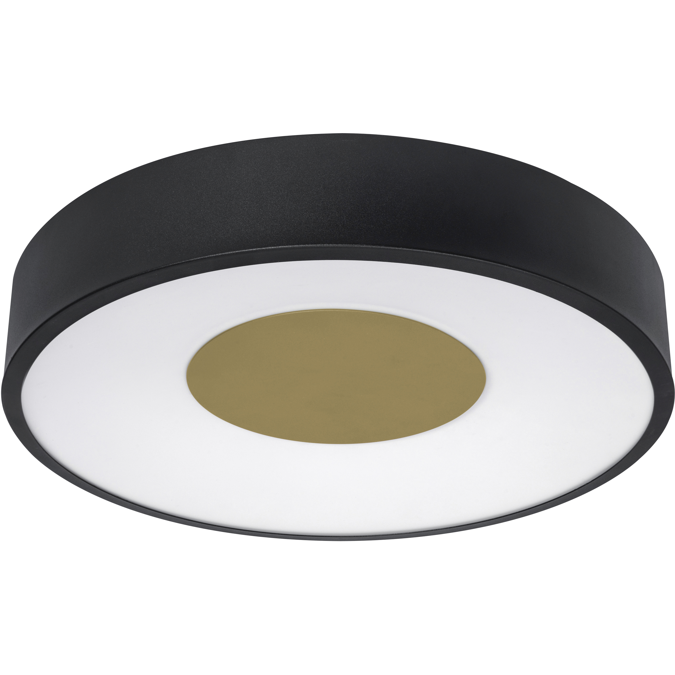 Hazel 1 Light 14 inch Black Flush Mount Ceiling Light