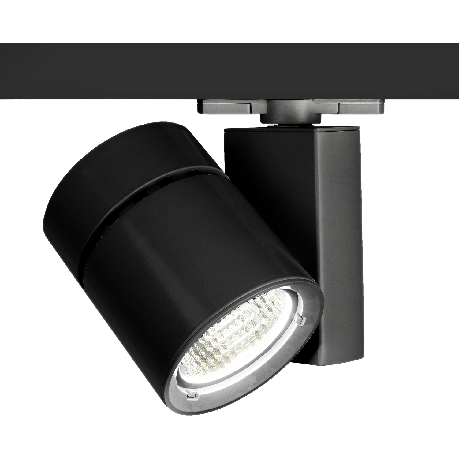 Exterminator II 1 Light 120 Black Track Head Ceiling Light in Flood, 90, 3000K
