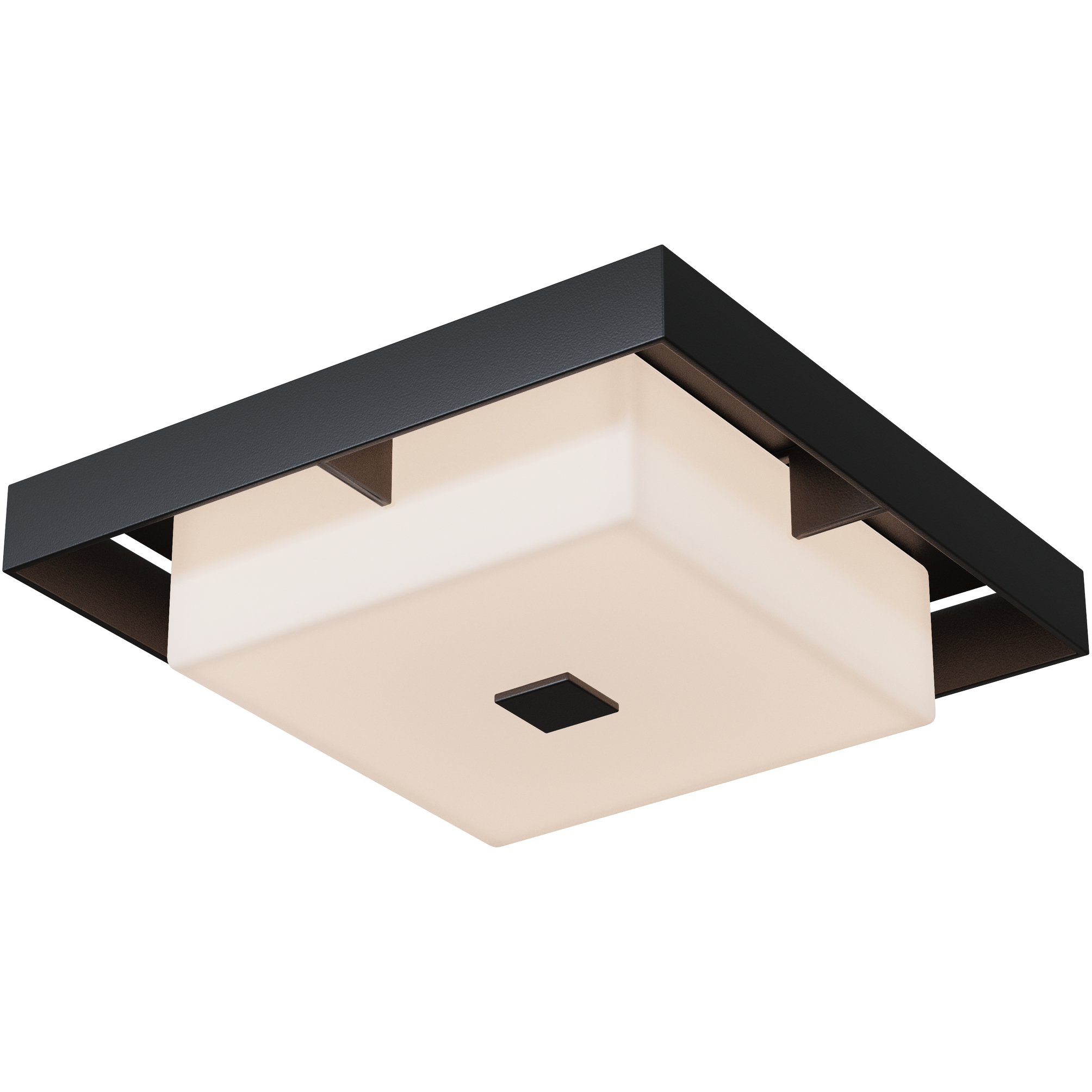 Shadow Box 2 Light 12 inch Coastal Black and Coastal Black Outdoor Flush Mount, Small
