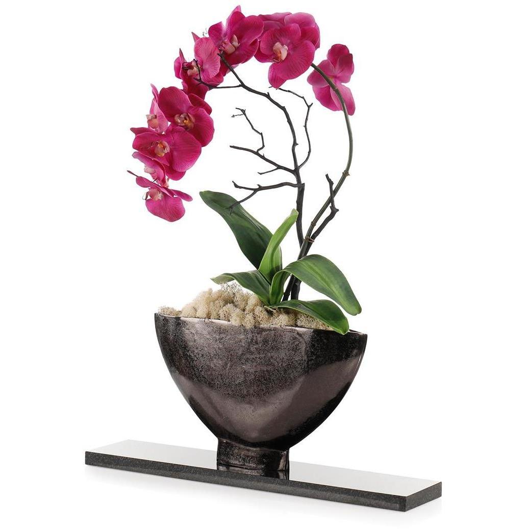 Midnight Phalaenopsis Floral