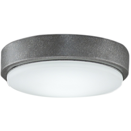 Levon Custom 1 Light Galvanized Fan Light