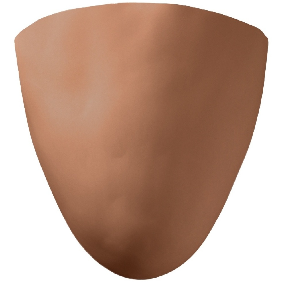 Ambiance 1 Light 10 inch Adobe Wall Sconce Wall Light