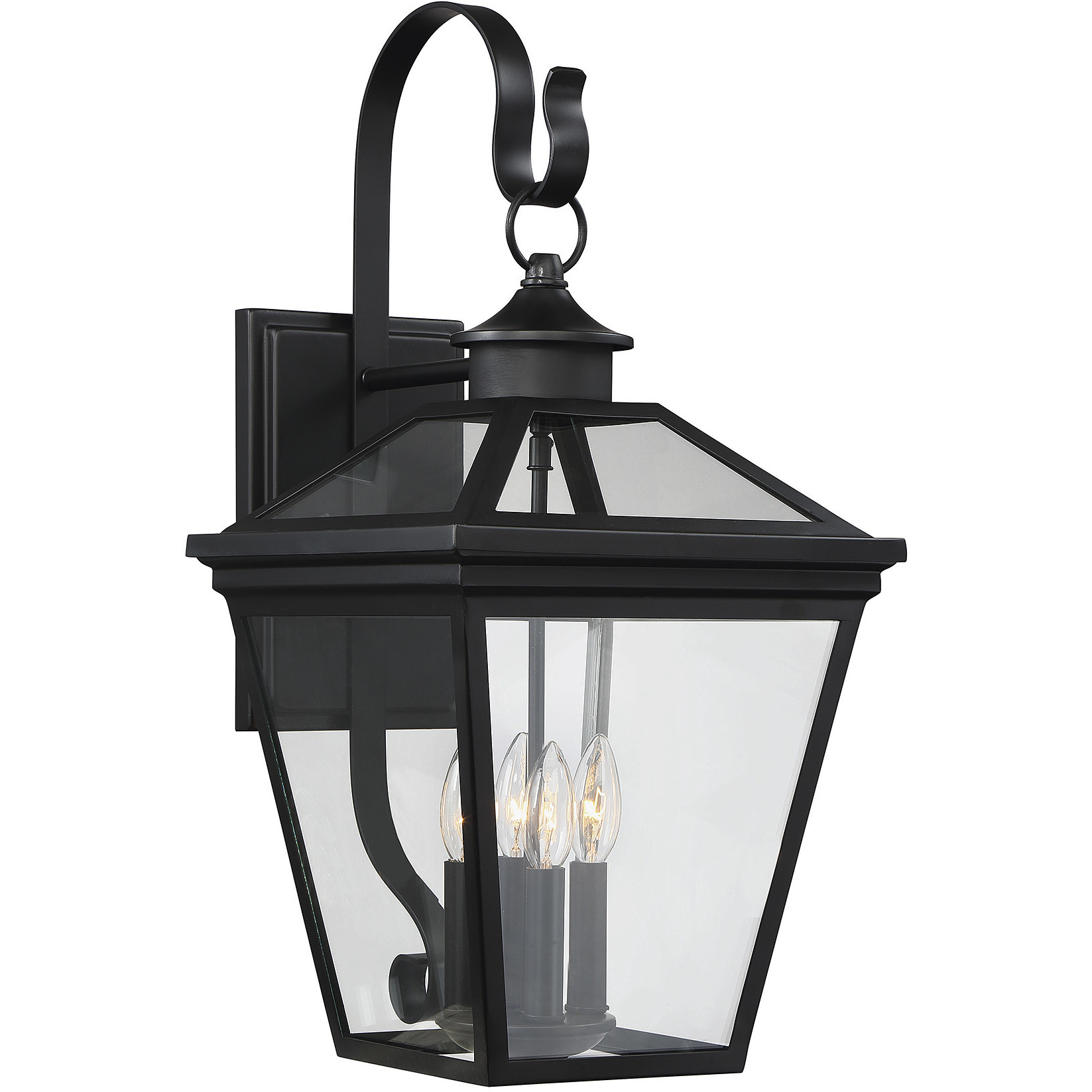 Ellijay Outdoor Wall Lantern in Black