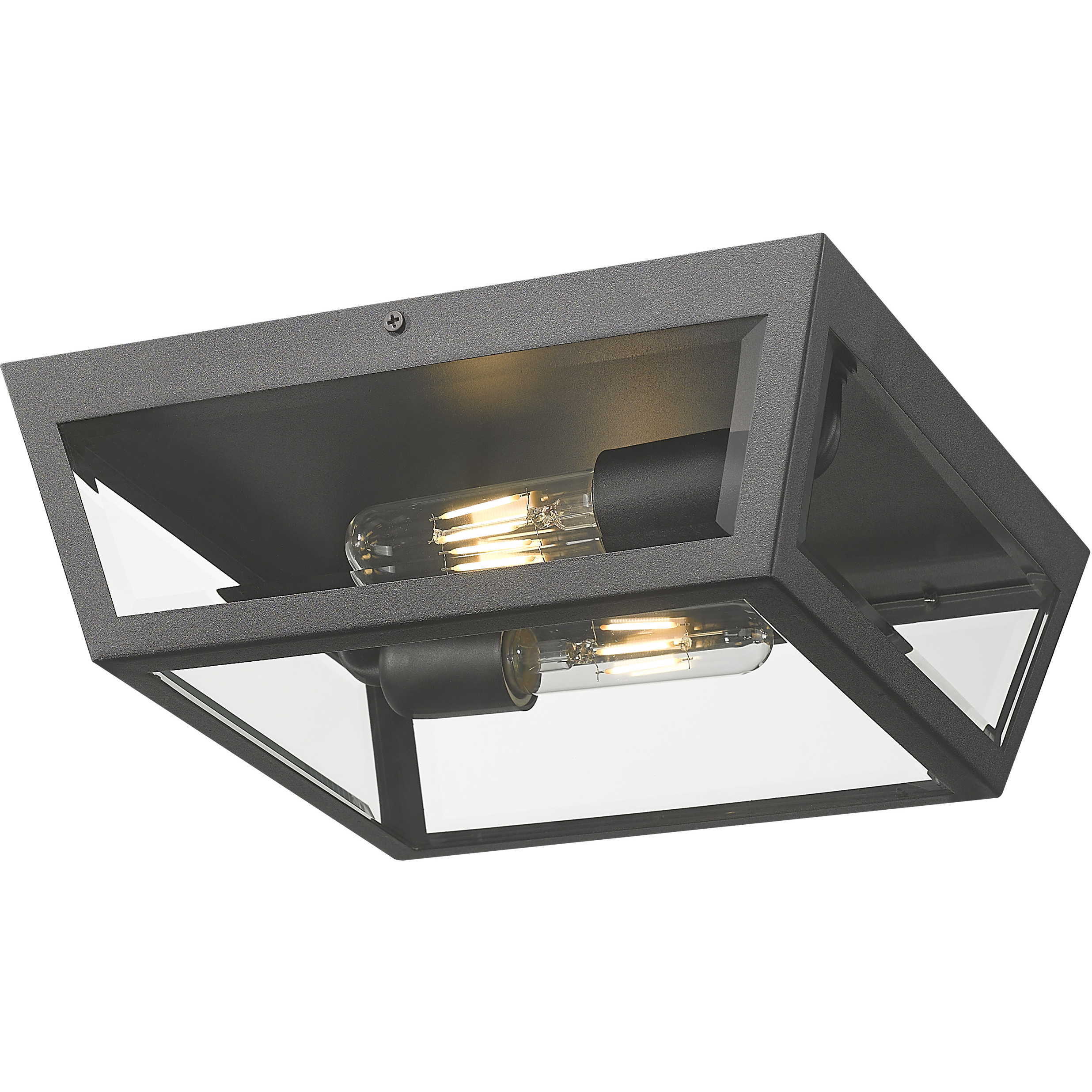 Madison 2 Light 12 inch Matte Black Outdoor Flush Mount in Clear Glass