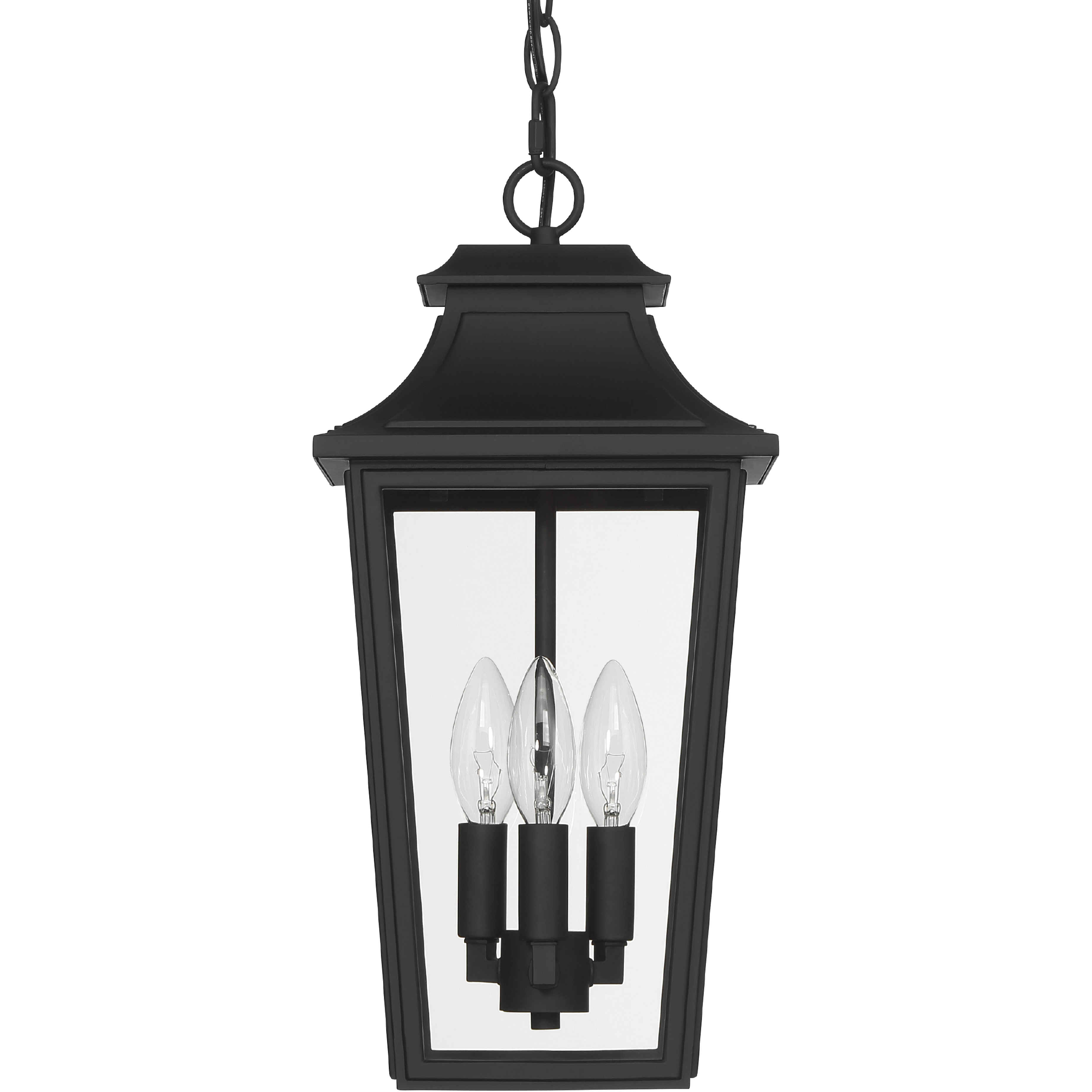 Spring Cove 3 Light 8 inch Matte Black Outdoor Pendant, Large