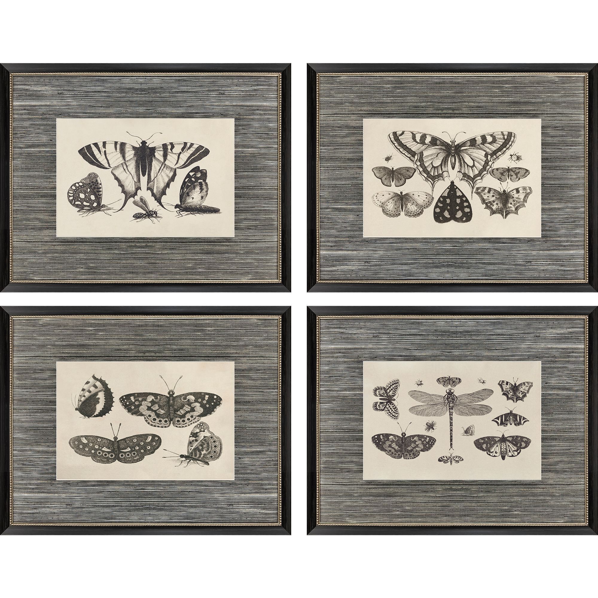 Paragon Black and Beige and Multi and Neutral Framed Art