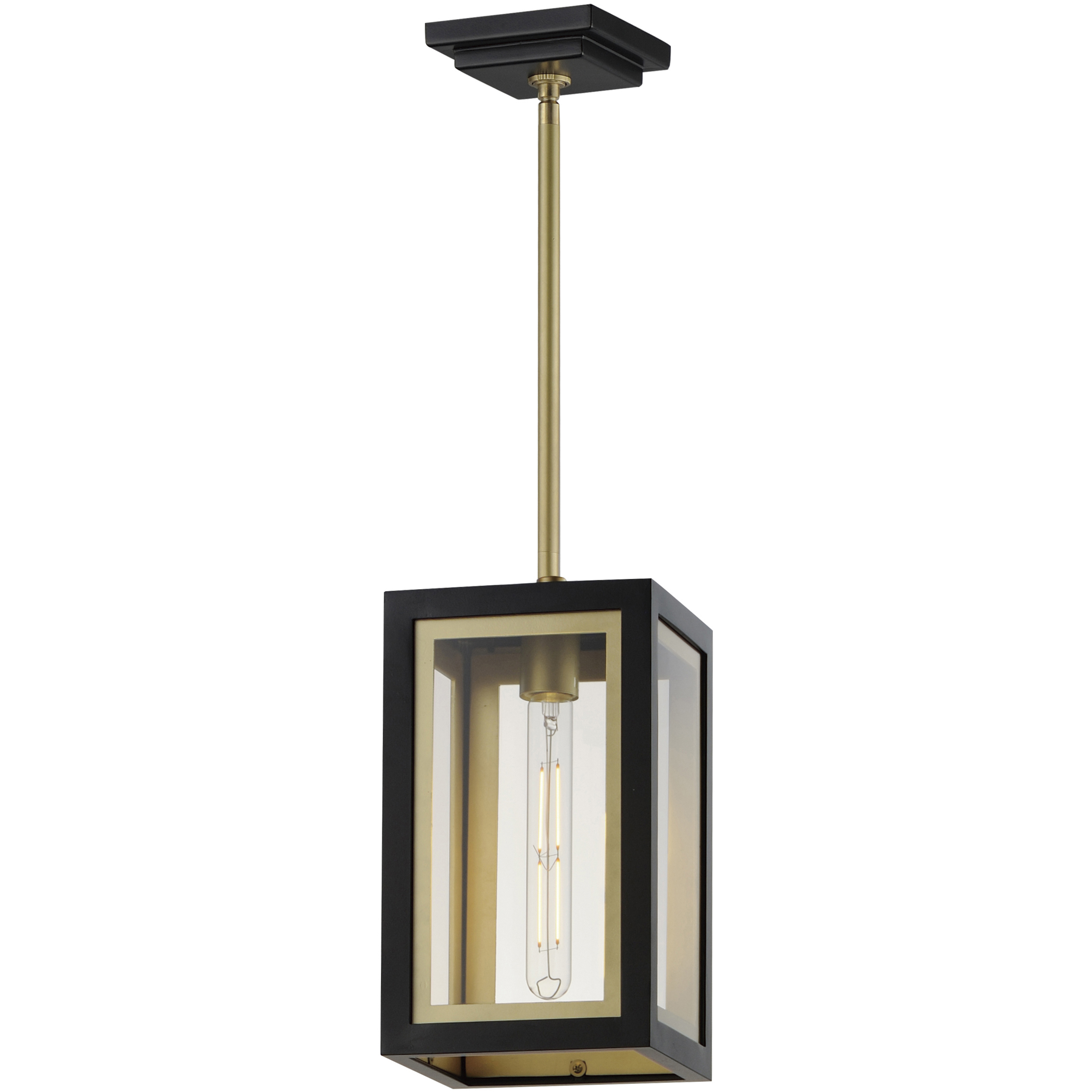 Neoclass 1 Light 7 inch Black and Gold Outdoor Pendant