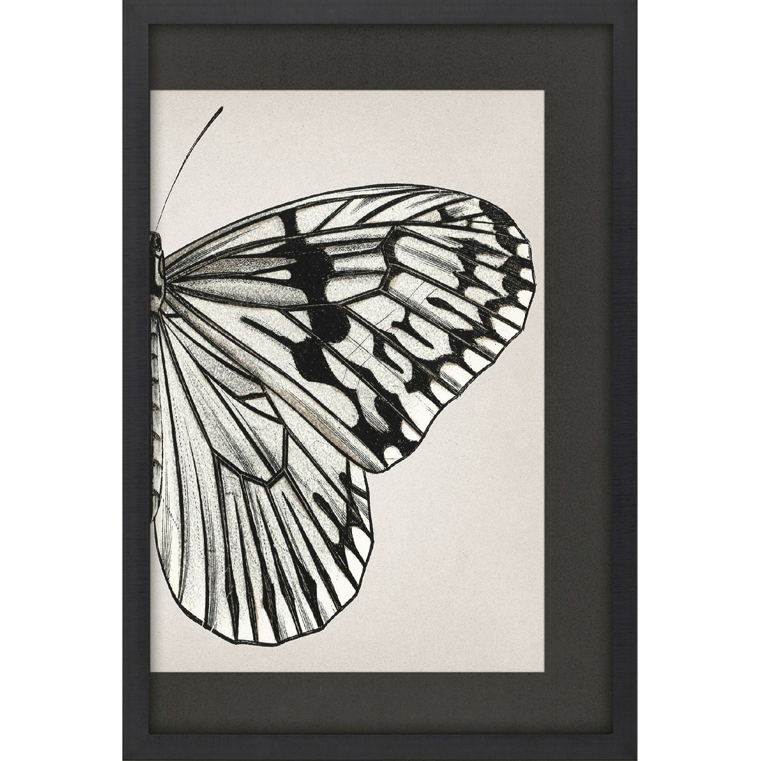 Grand Butterfly Black and Beige and White Framed Art