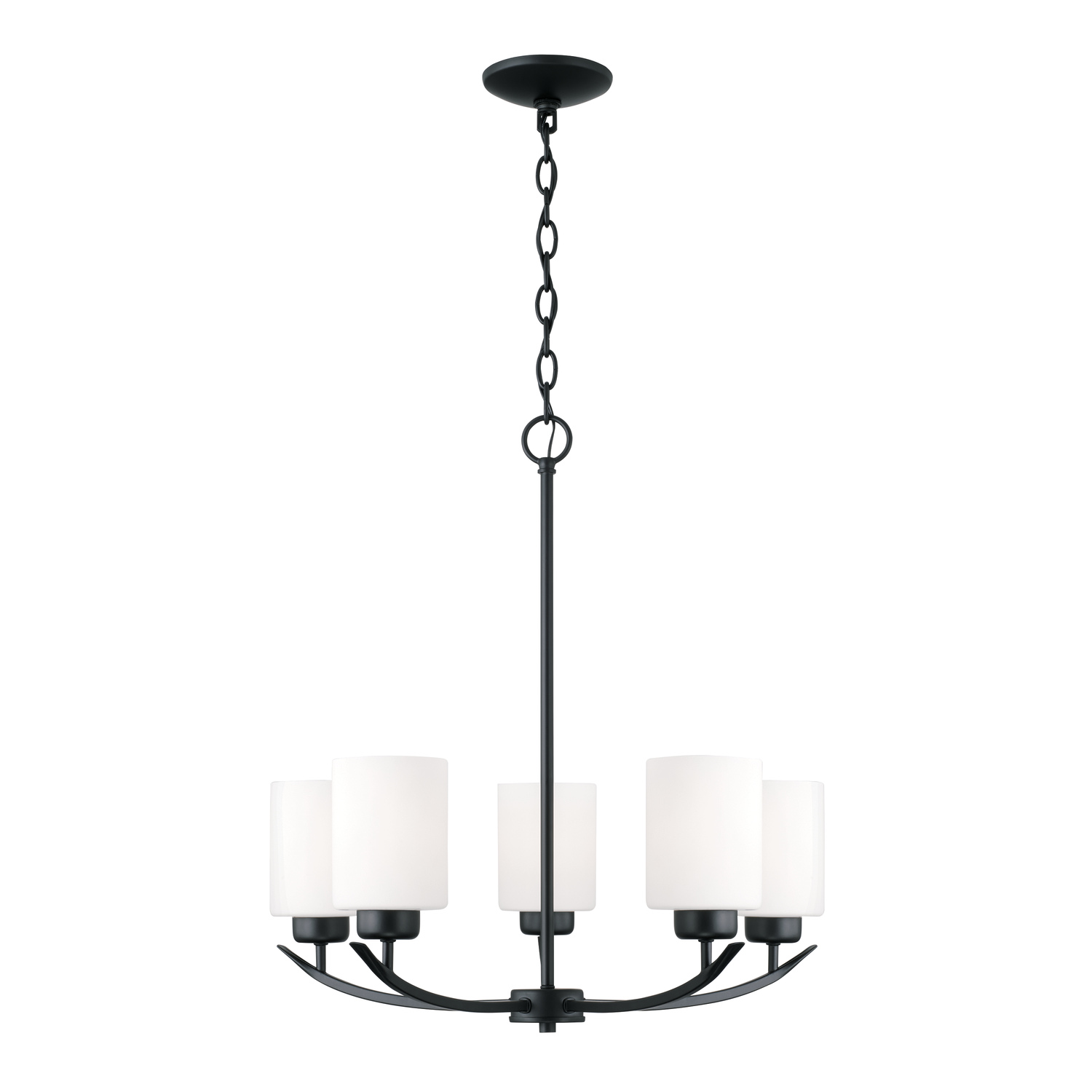 Dixon 5 Light 23 inch Matte Black Chandelier Ceiling Light