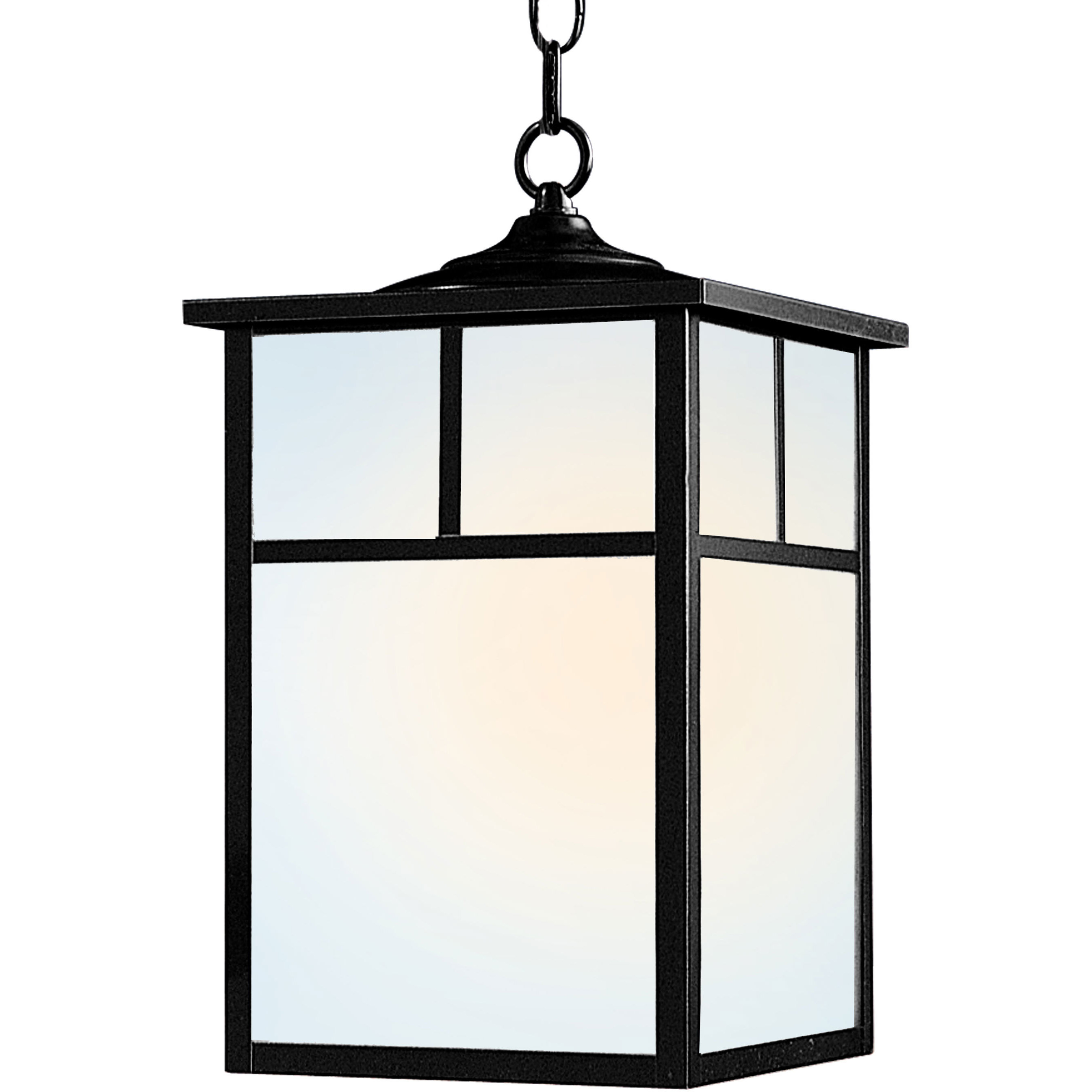 Coldwater 1 Light 9 inch Black Outdoor Hanging Lantern in White