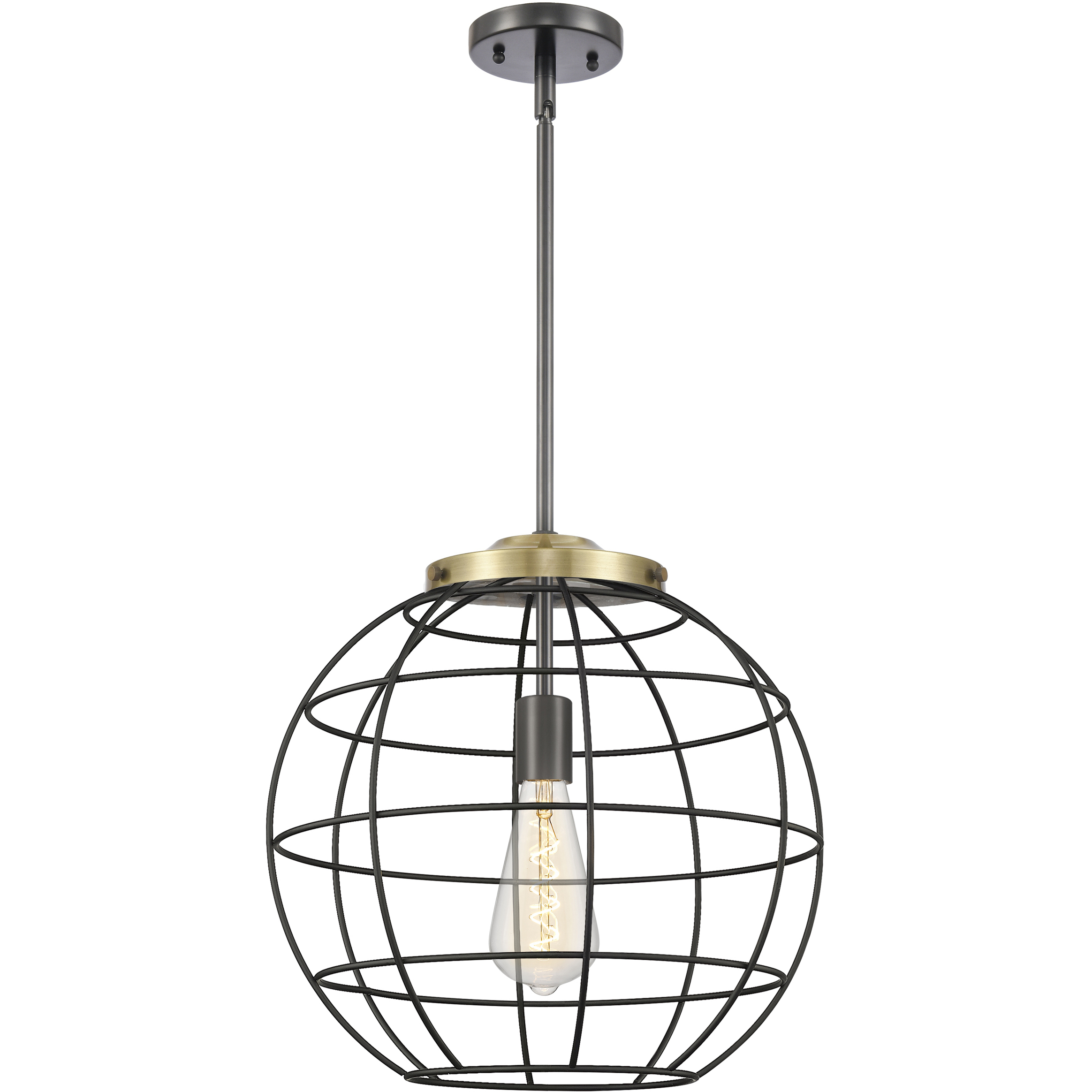 Lake Placid 1 Light 16 inch Black Antique Brass Pendant Ceiling Light