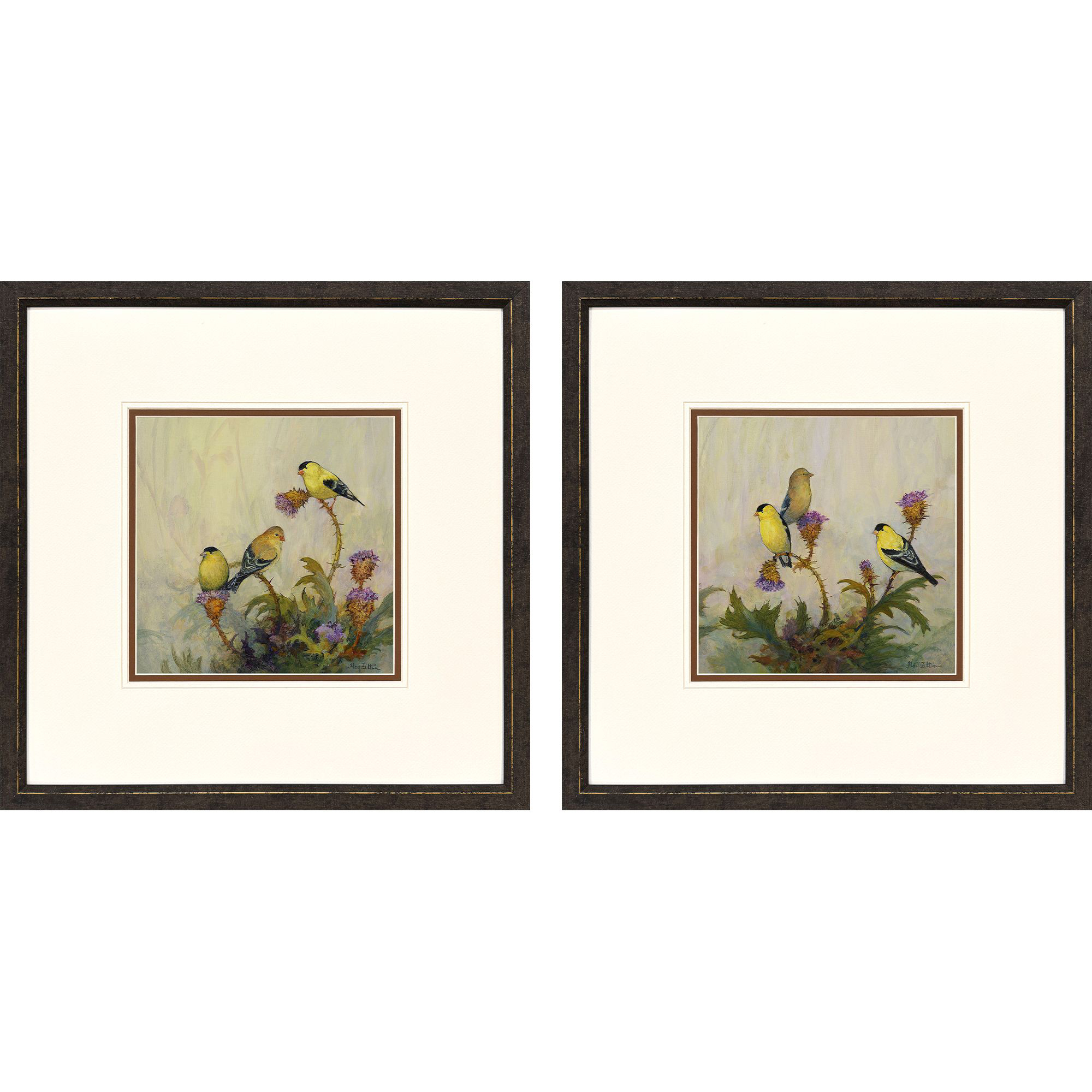 American Goldfinch Yellow and Green and Purple Framed Art, Propac