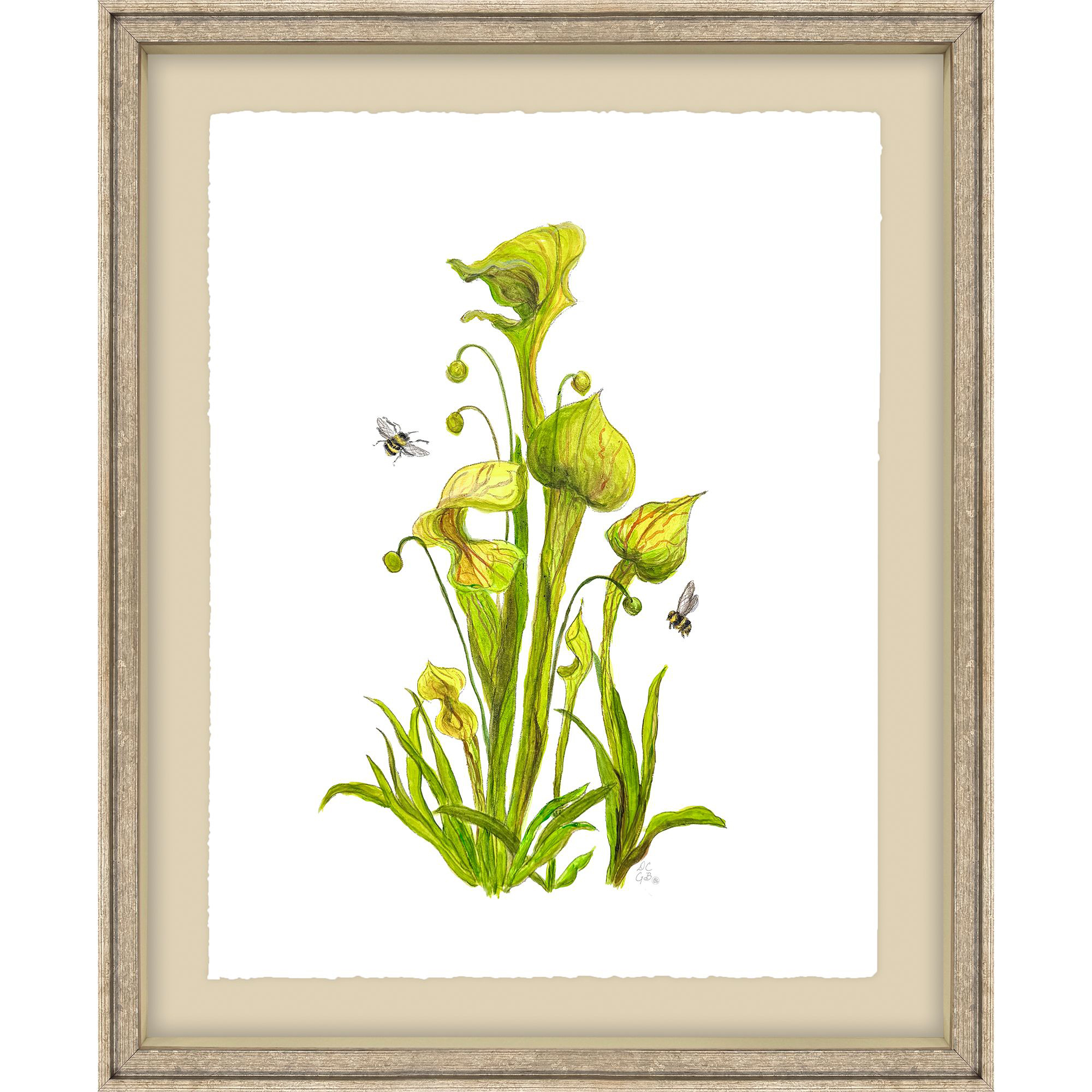 Spring Renew I Green and White Framed Art