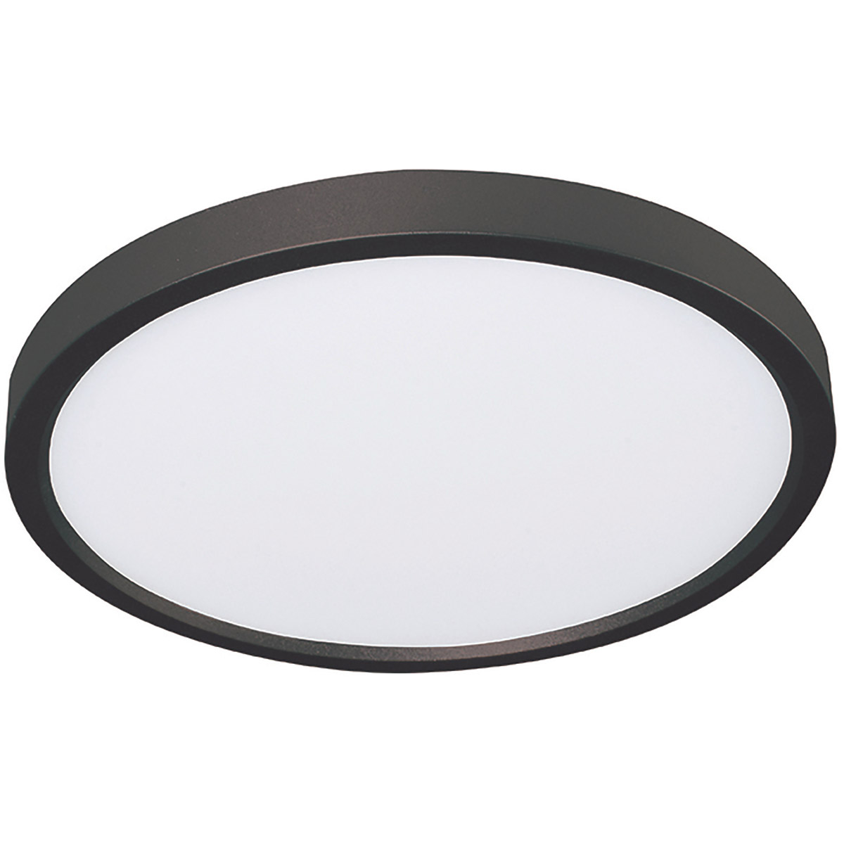 Edge Round LED 15.63 inch Black Flush Mount Ceiling Light