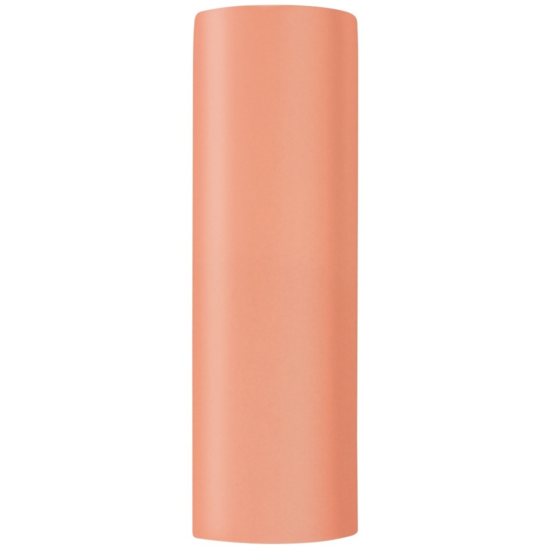Ambiance Outdoor Wall Sconce