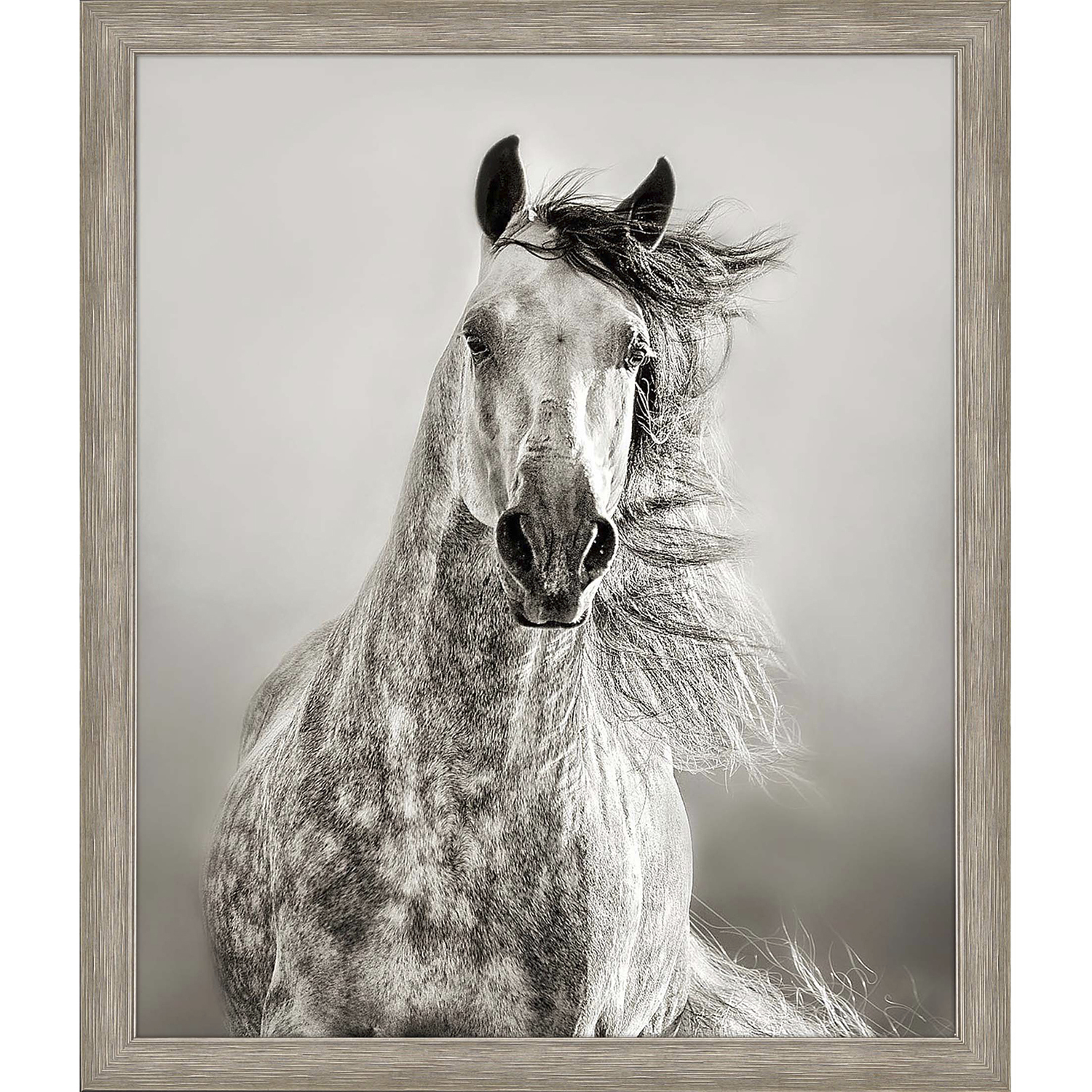 Animals Beige and Neutral Framed Art