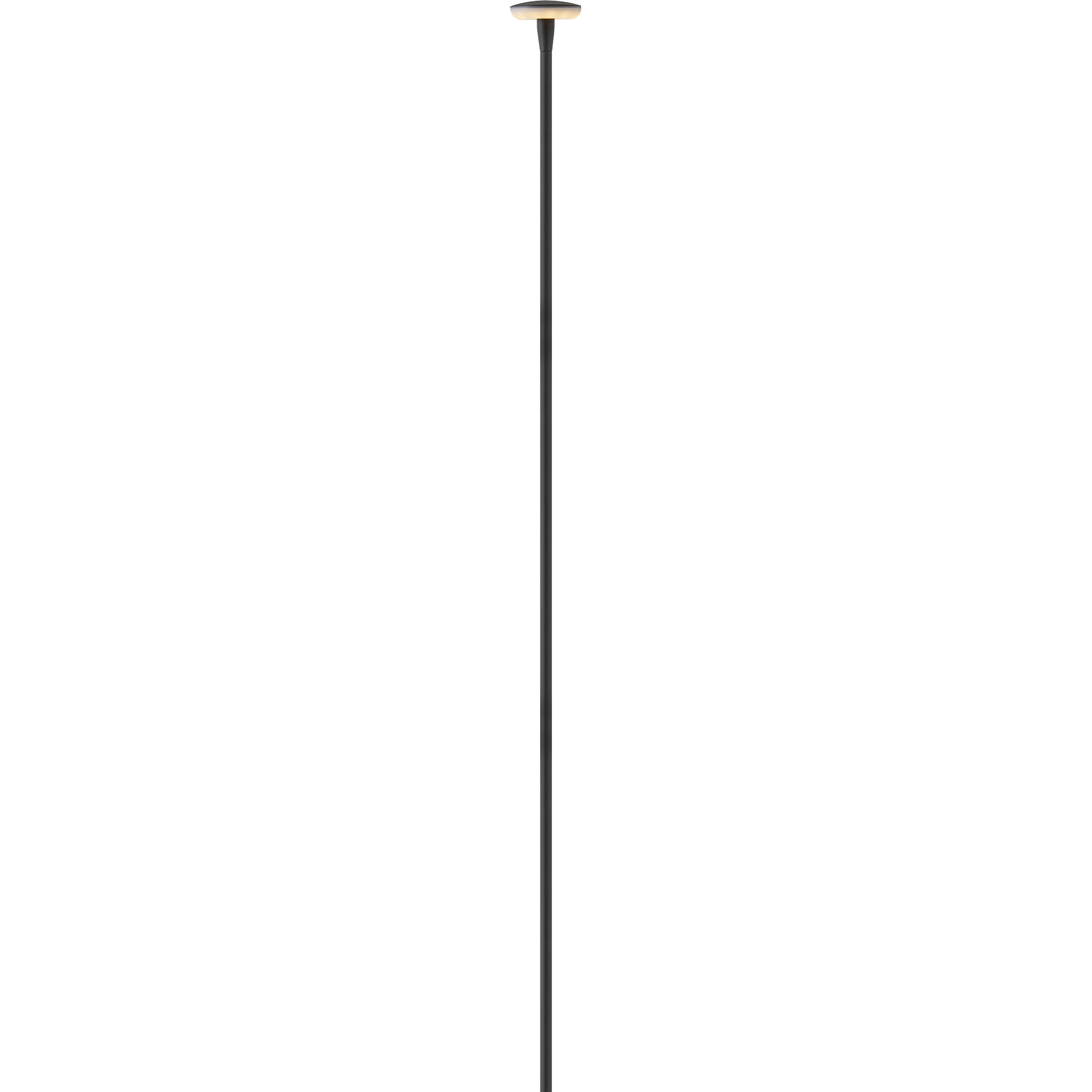 Calie 12v 2.1 watt Black Path Light