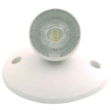 Aaliyah 1 Light White Exit / Emergency Ceiling Light
