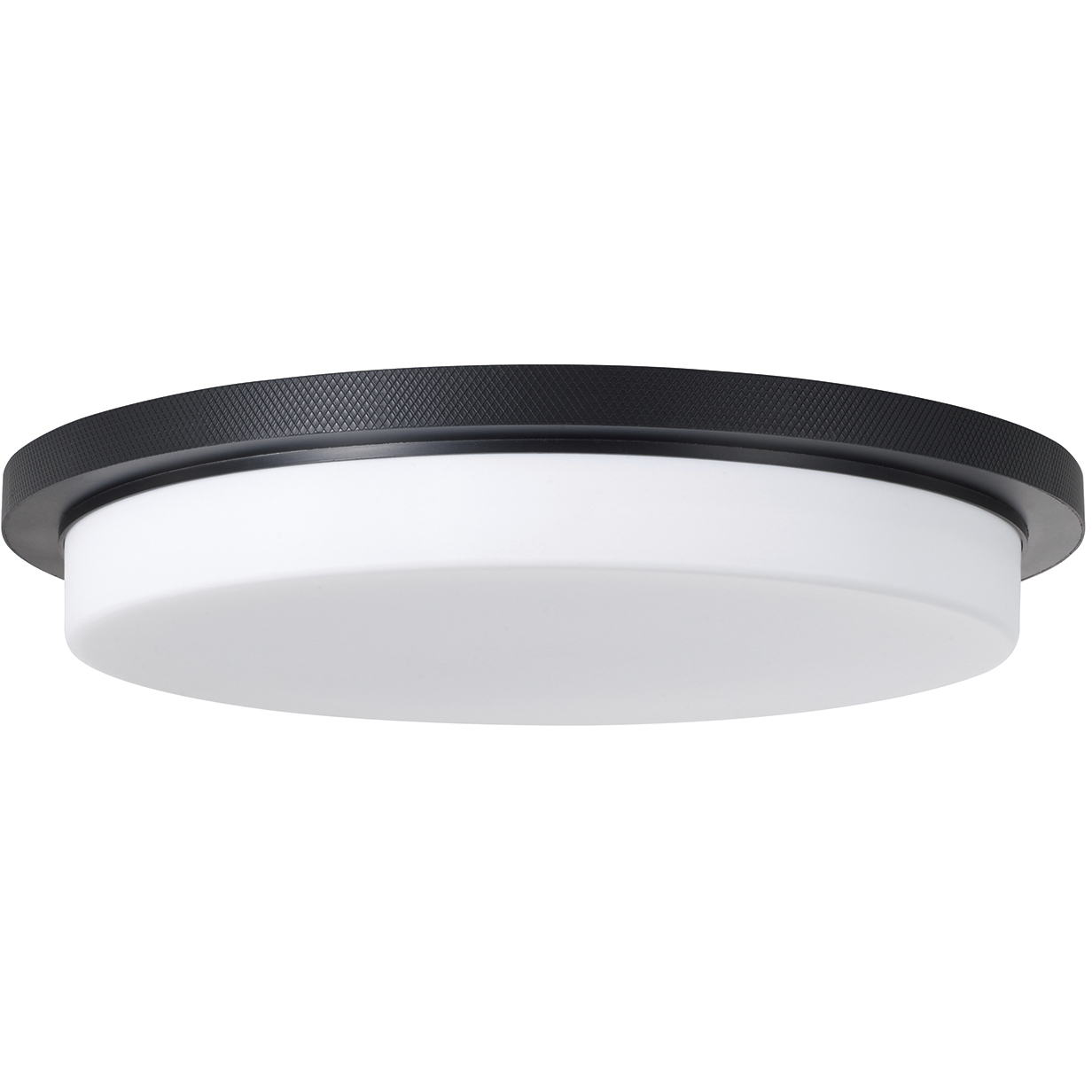 Dominic LED 16 inch Matte Black Flush Mount Ceiling Light