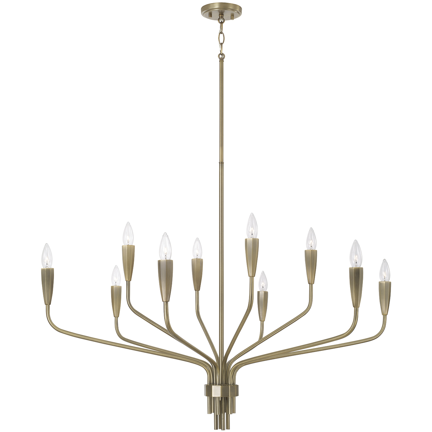 Palmer 10 Light 41 inch Antiqued Brass Chandelier Ceiling Light