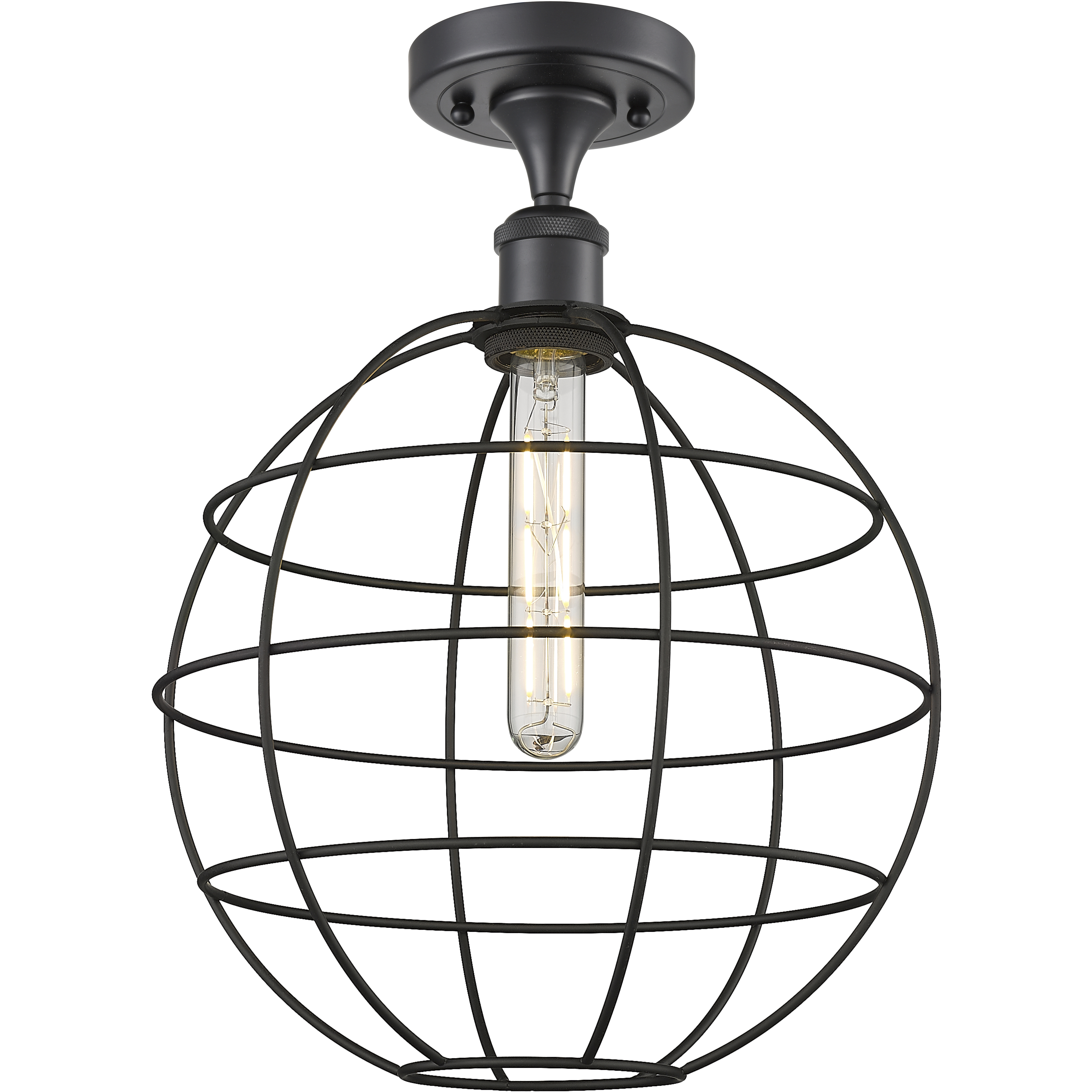 Lake Placid 1 Light 12 inch Matte Black Semi-Flush Mount Ceiling Light