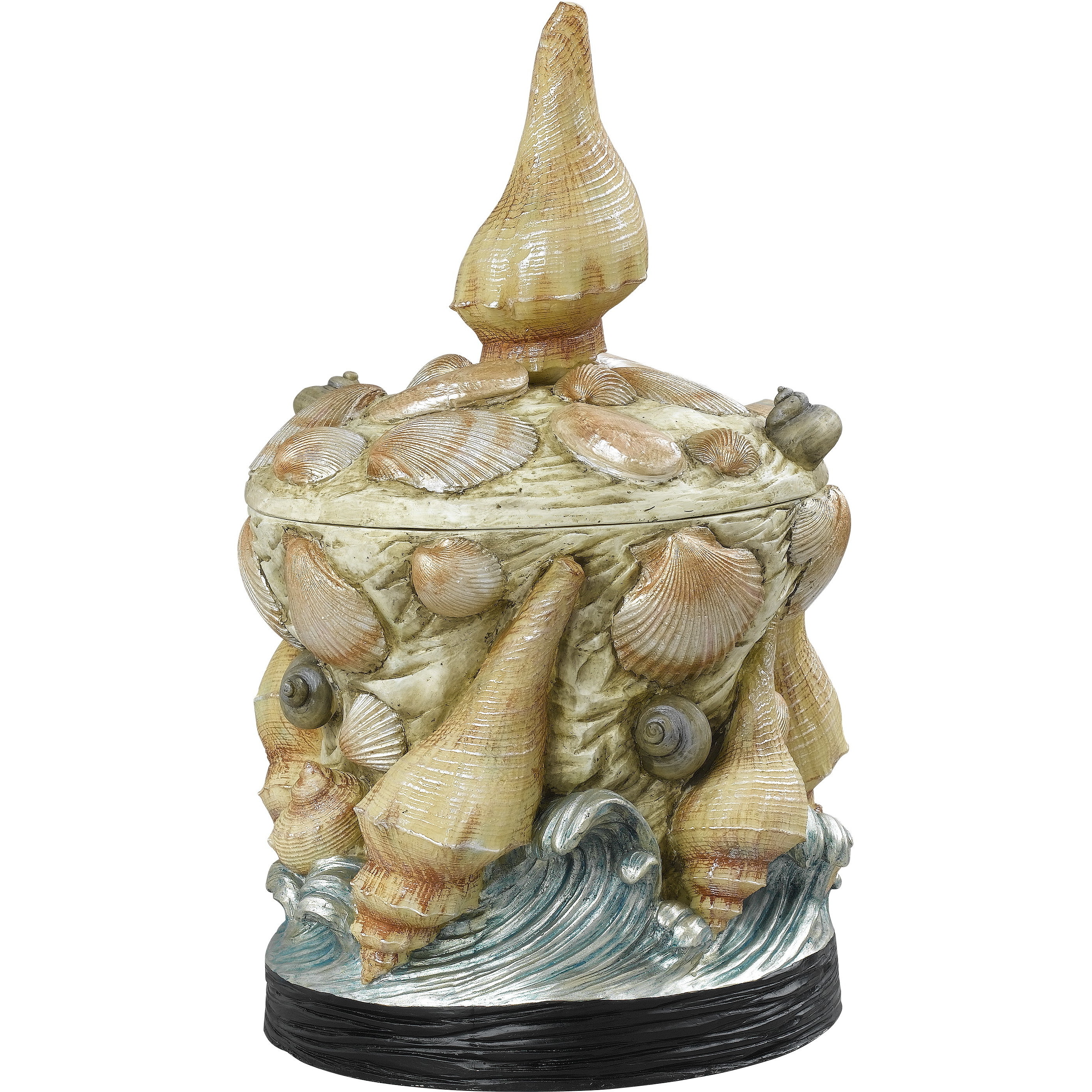 Seashell Carapace Box