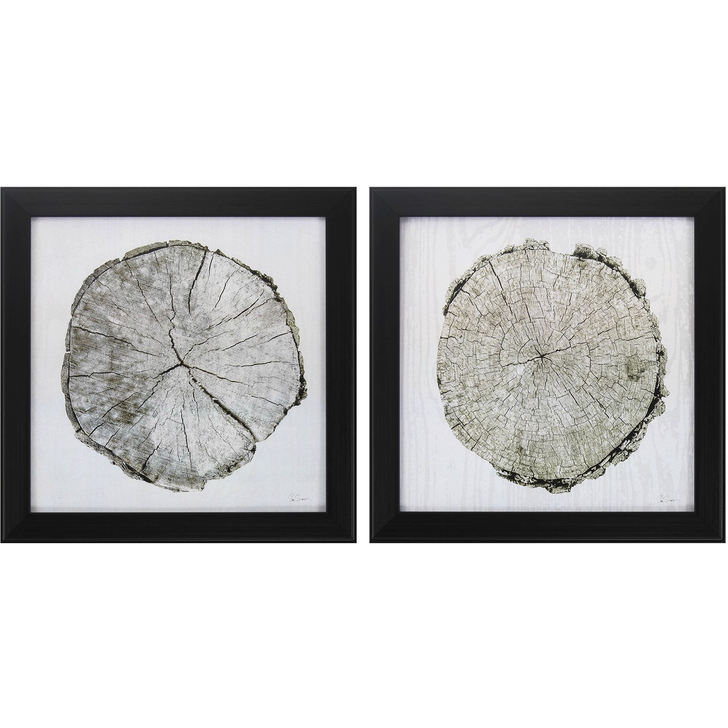 Naturals Neutral and Brown Framed Art, Propac