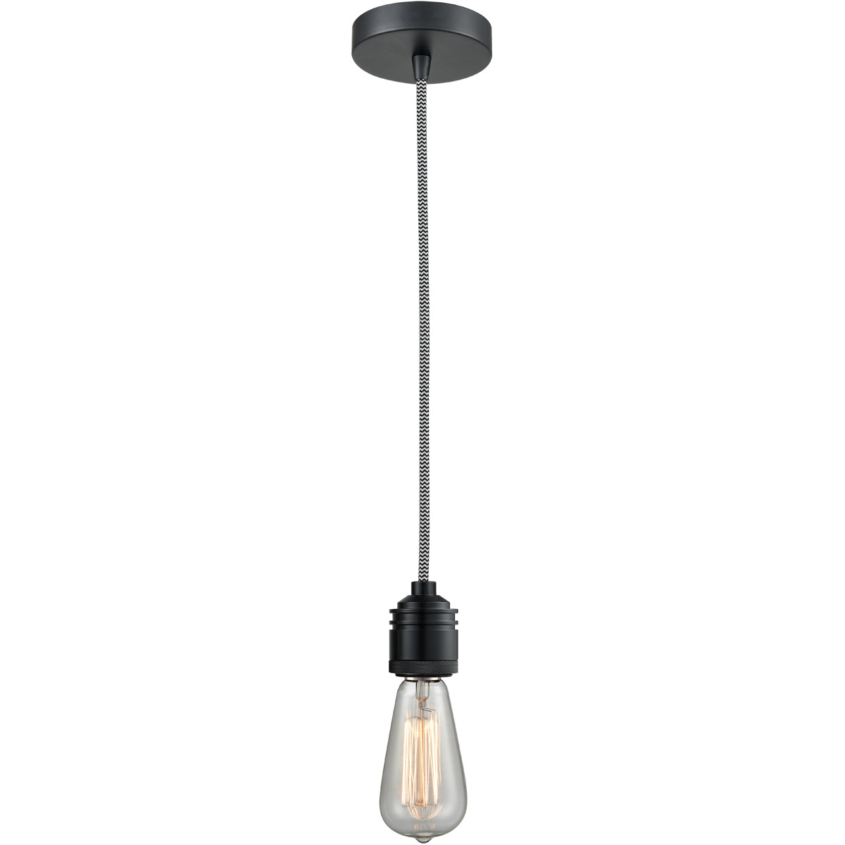 Winchester Bare Bulb 1 Light 2 inch Matte Black Mini Pendant Ceiling Light in Zebra, Winchester