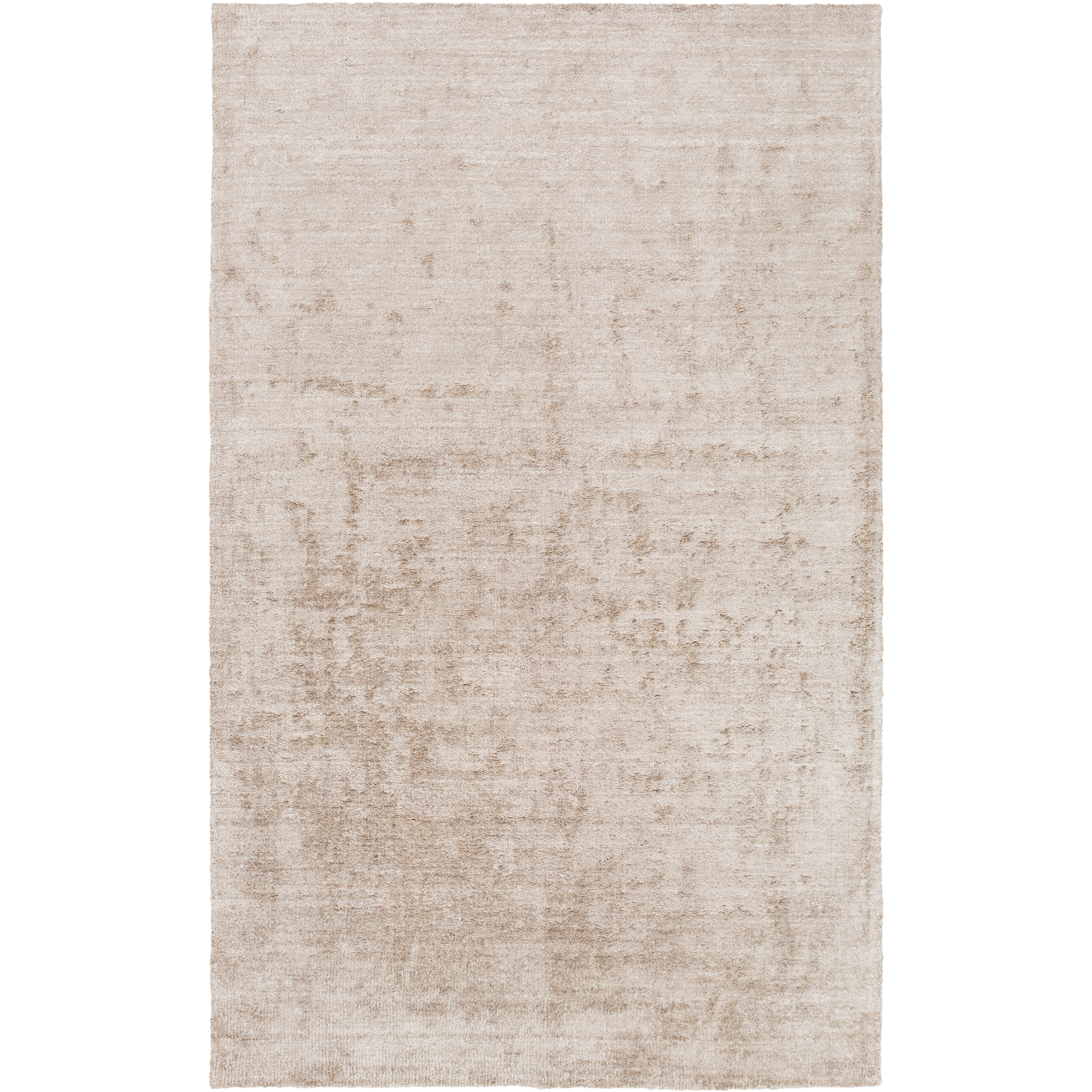 Haize 36 X 24 inch Taupe Rug