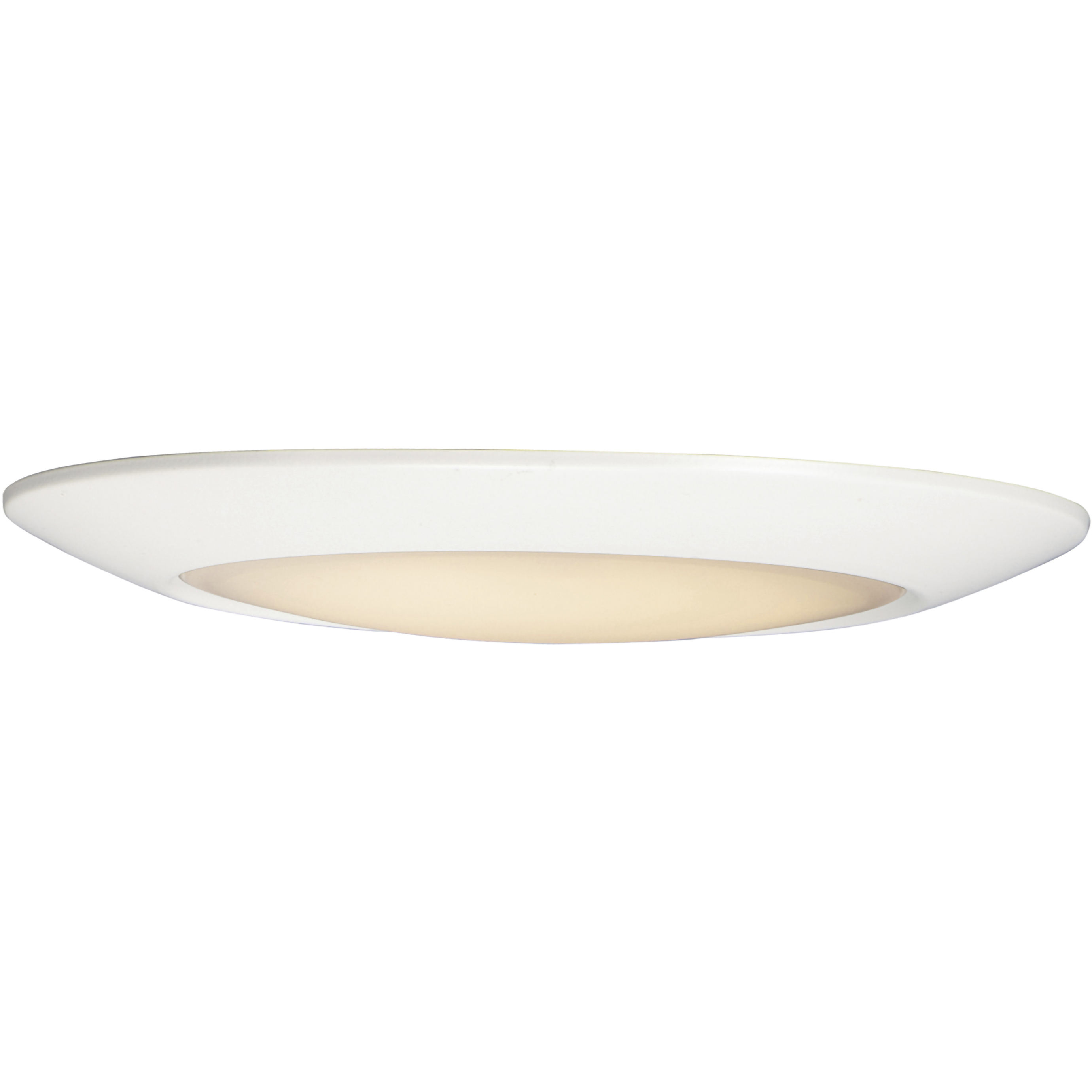Diverse LED 13 inch White Flush Mount Ceiling Light