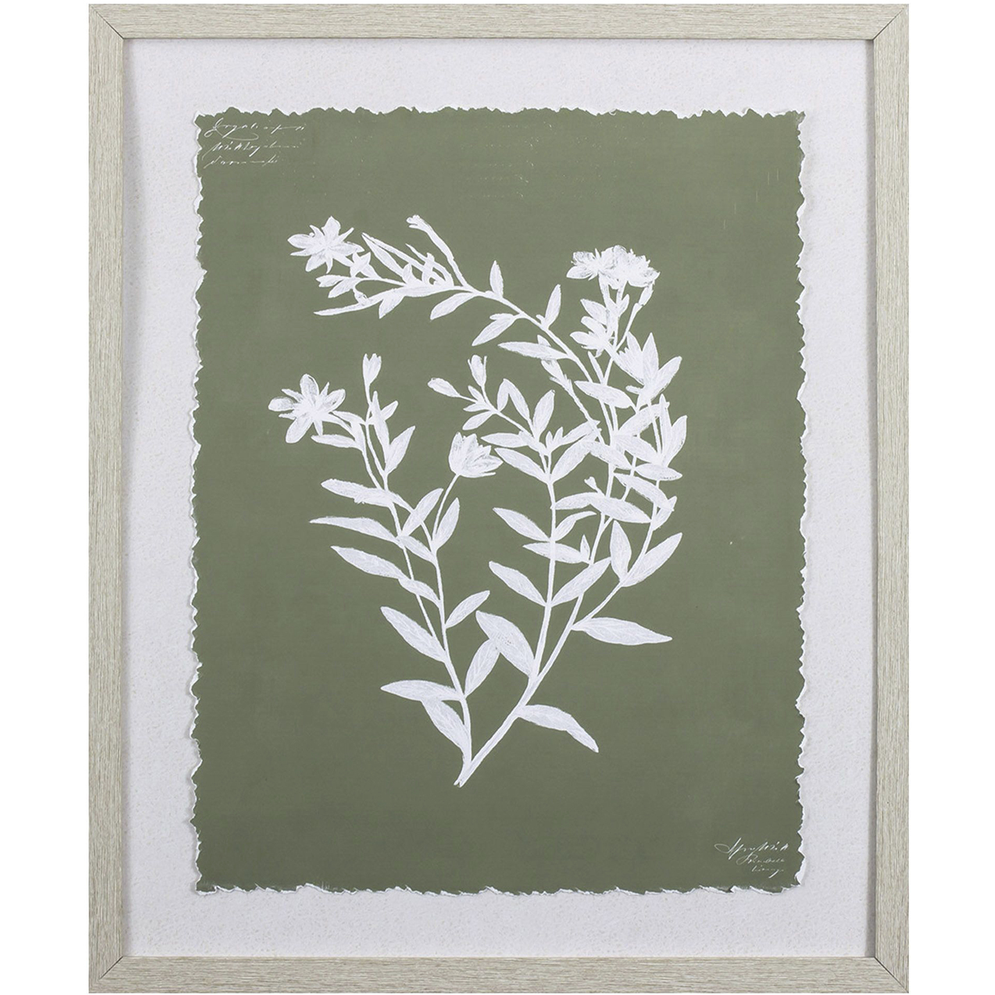 Botanical Garden Green Framed Art, Propac