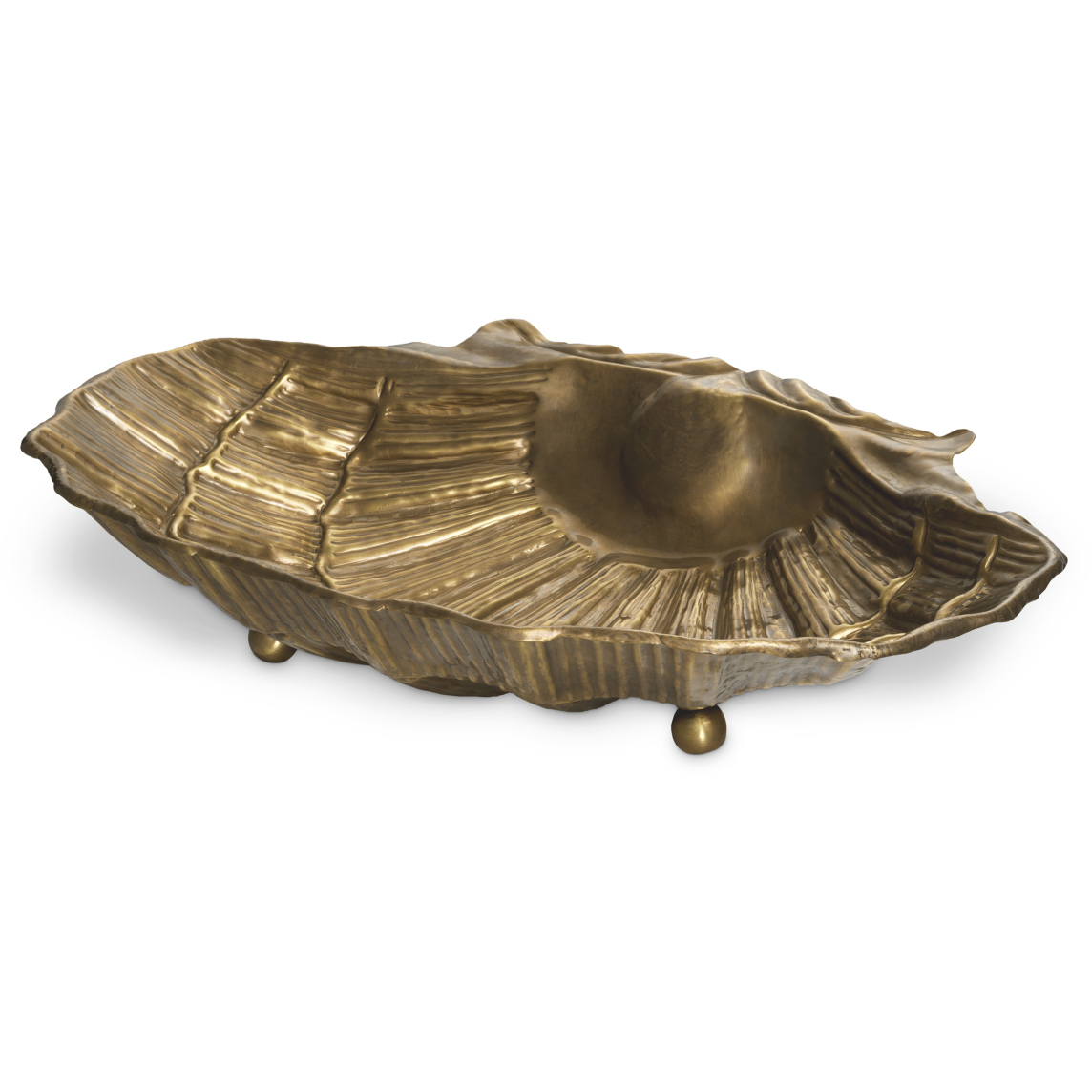 Seashell 15.35 X 4.33 inch Decorative Bowl