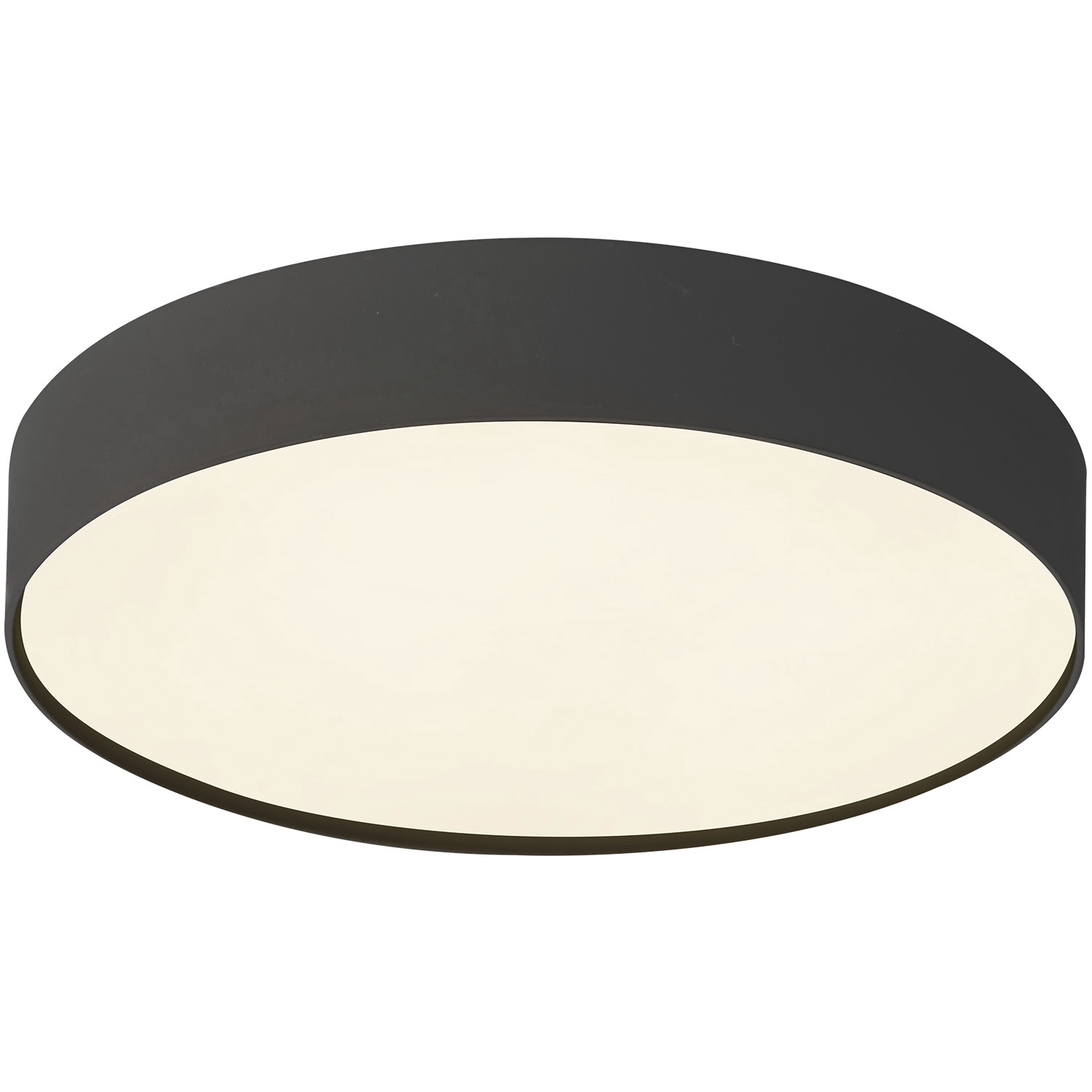 Rynn 5.25 inch Black Flush Mount Ceiling Light