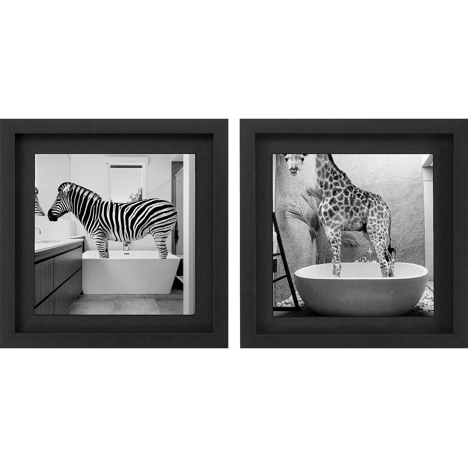Safari Bath White and Black and Gray Framed Art