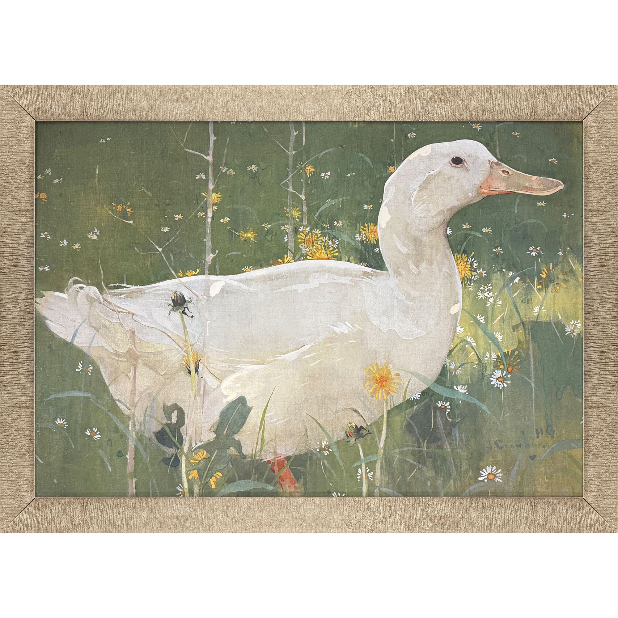 The White Drake Green and Yellow and White Framed Art, Propac