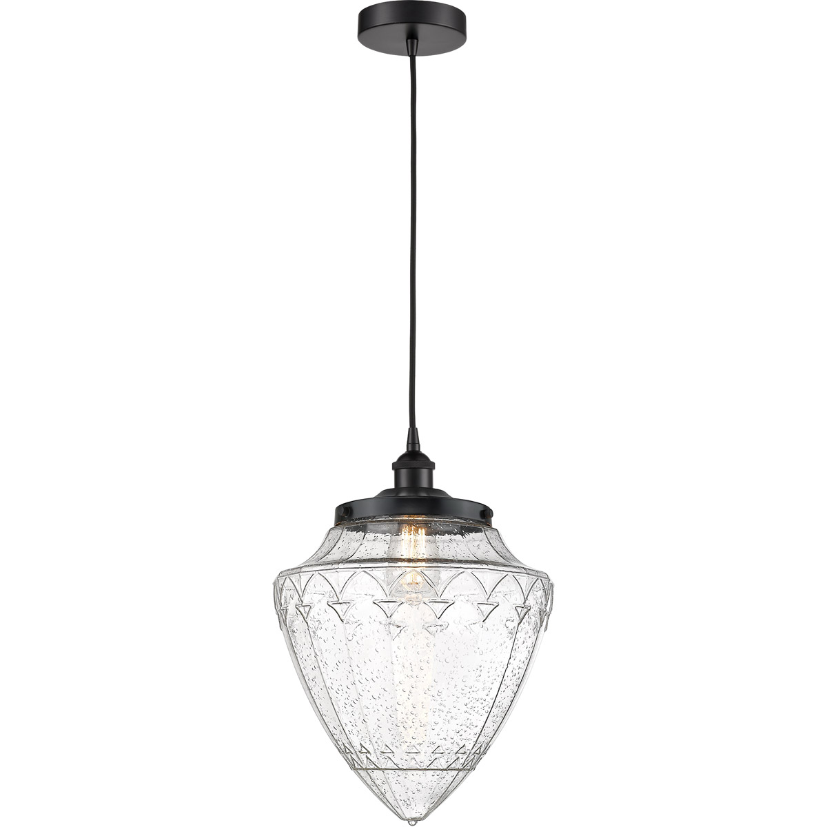 Edison Bullet 1 Light 12 inch Matte Black Mini Pendant Ceiling Light