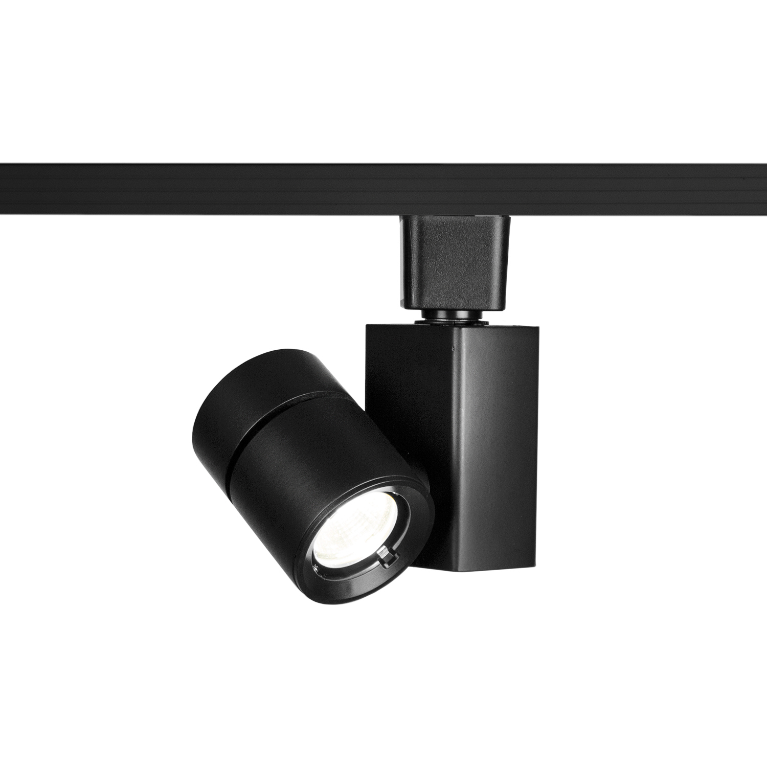 Exterminator II 1 Light 120 Black J Track Fixture Ceiling Light in 4000K