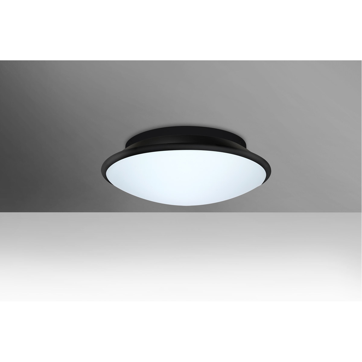 Silk 2 Light 13 inch Flush Mount Ceiling Light