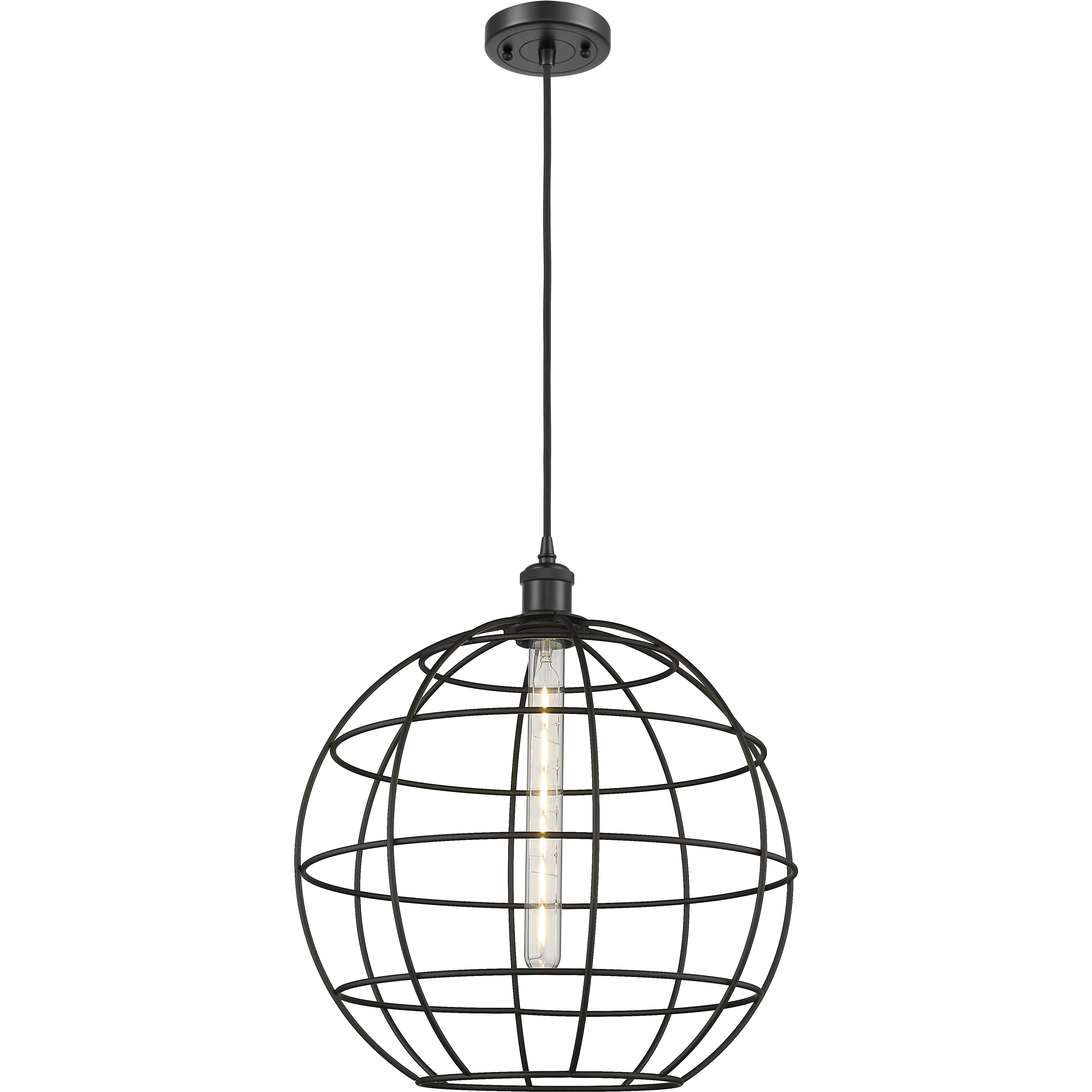 Lake Placid 1 Light 16 inch Matte Black Pendant Ceiling Light