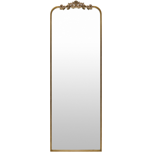Aarlen 65 X 22 inch Antiqued Full Length Wall Mirror