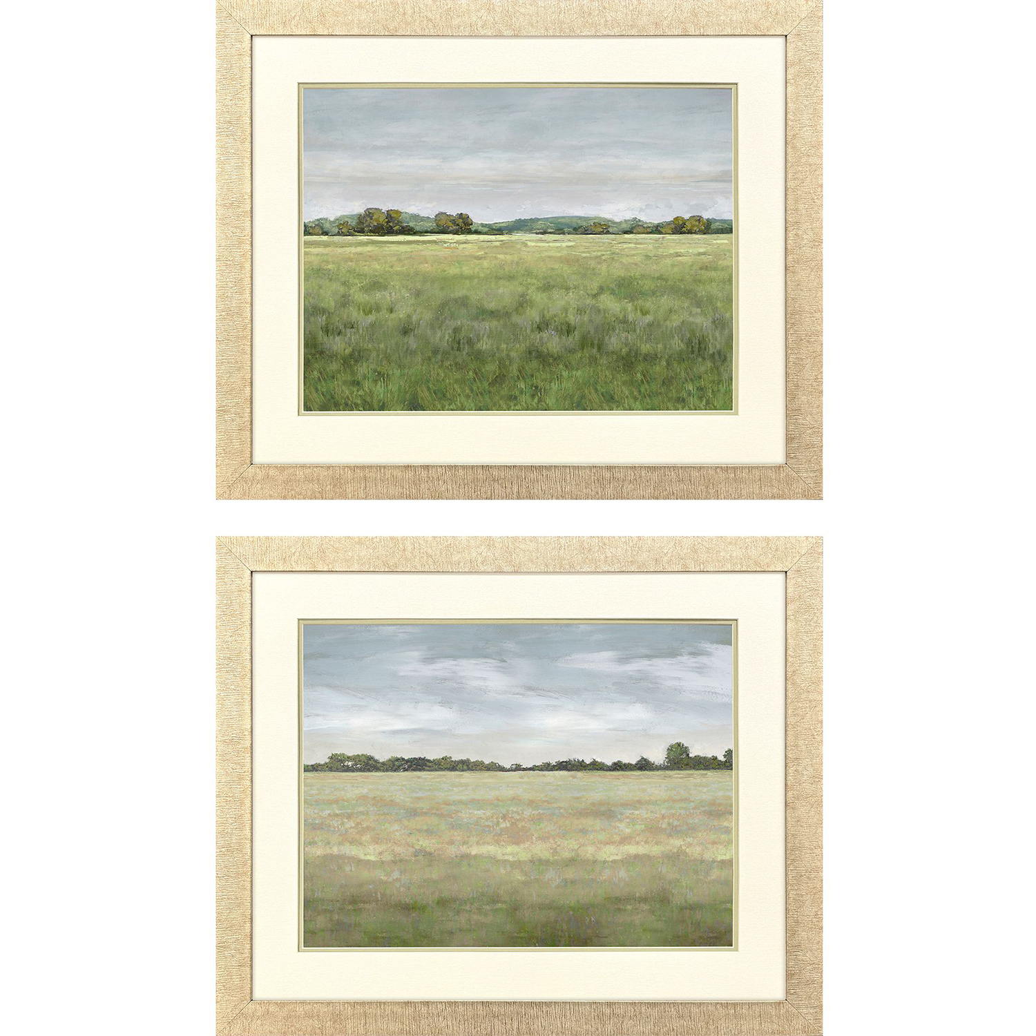 Quiet Meadow Green and Multi and Neutral and Blue Framed Art, Propac