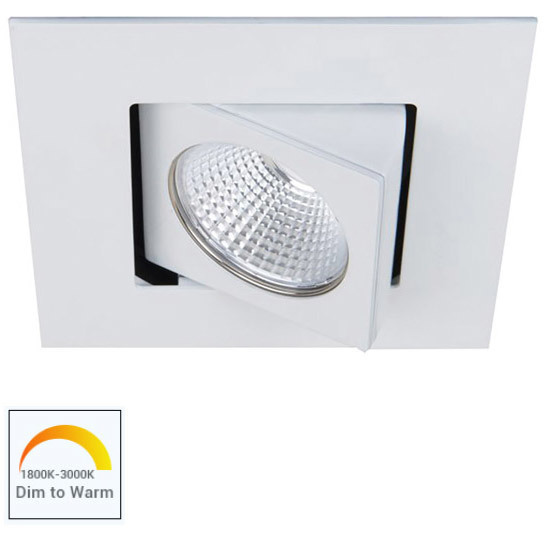 Ocularc LED White Recessed Lighting in Spot, Warm Dim