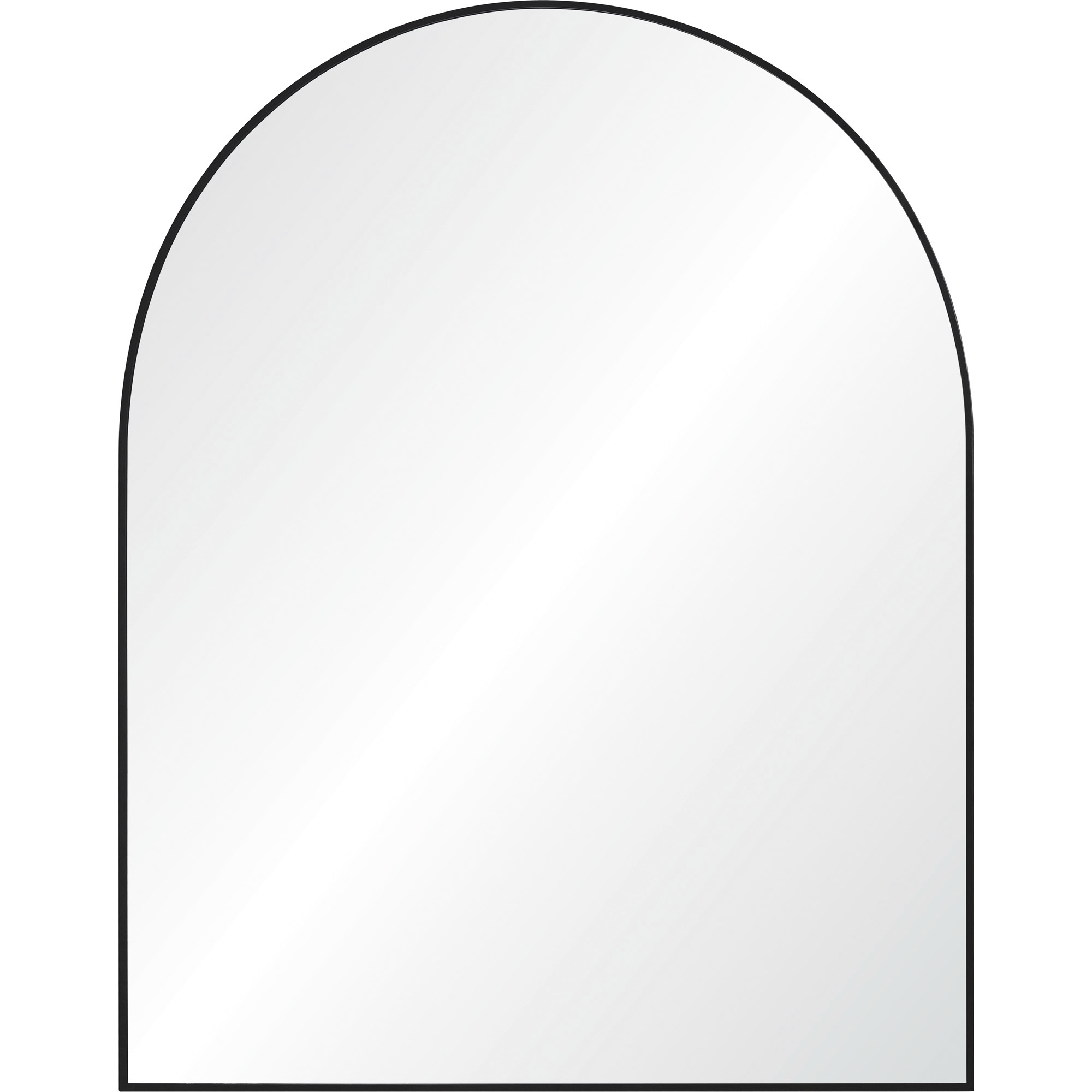 Lamia 50 X 40 inch Matte Black and Clear Mirror